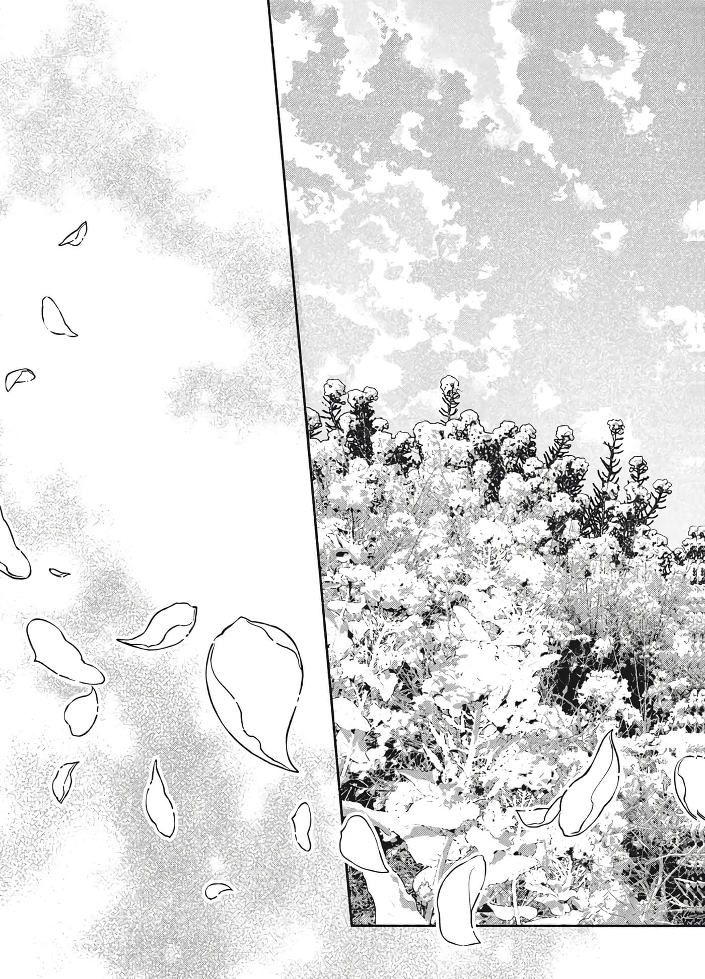 第 145 页