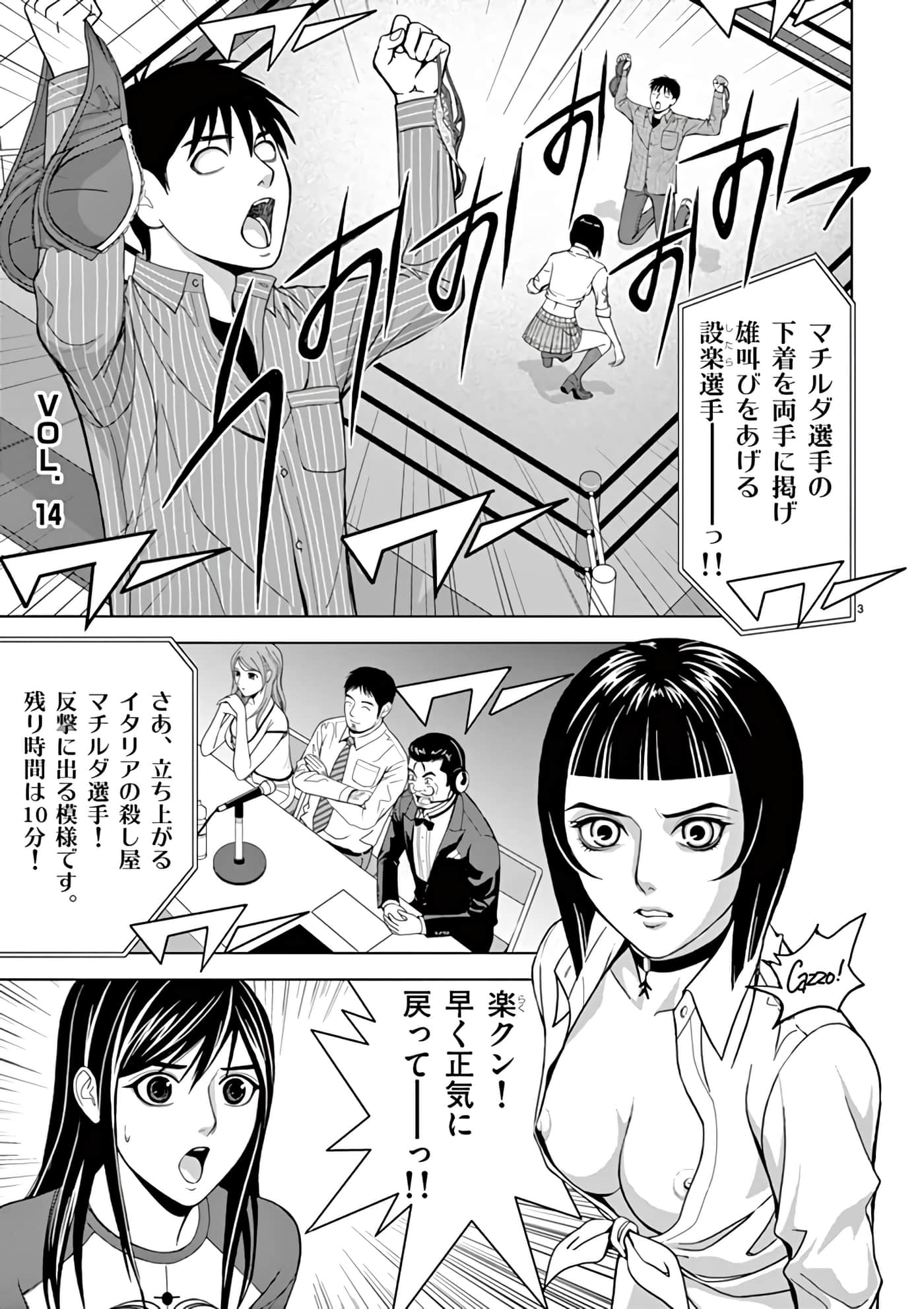 第 14-29 卷 第 3 页