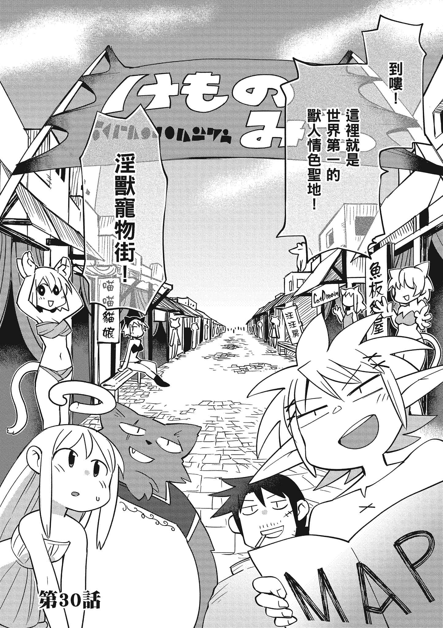 第 4 卷 第 17 页