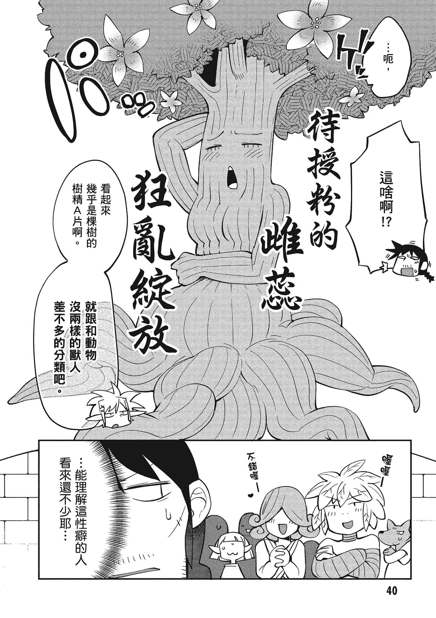 第 4 卷 第 41 页