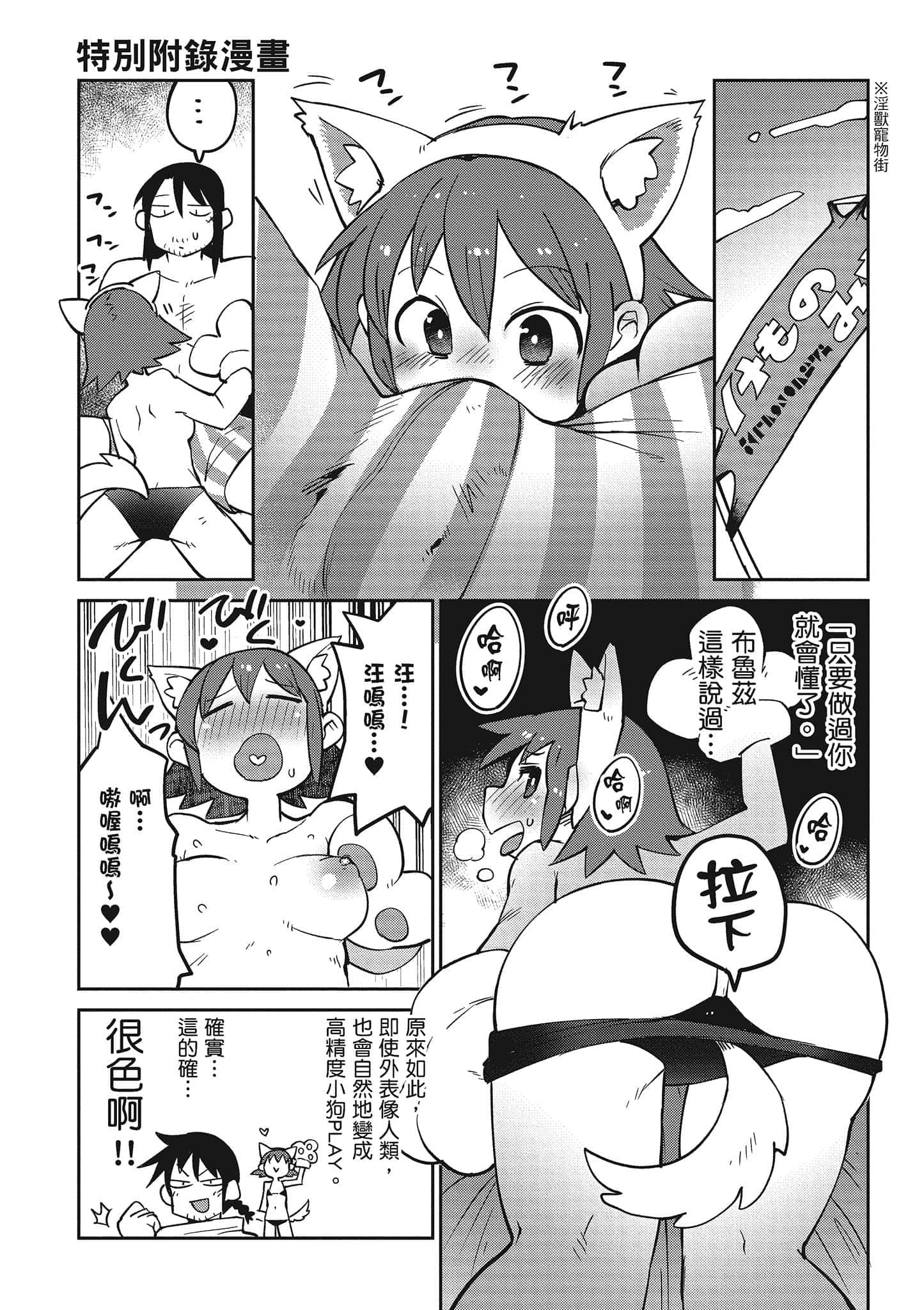 第 4 卷 第 127 页