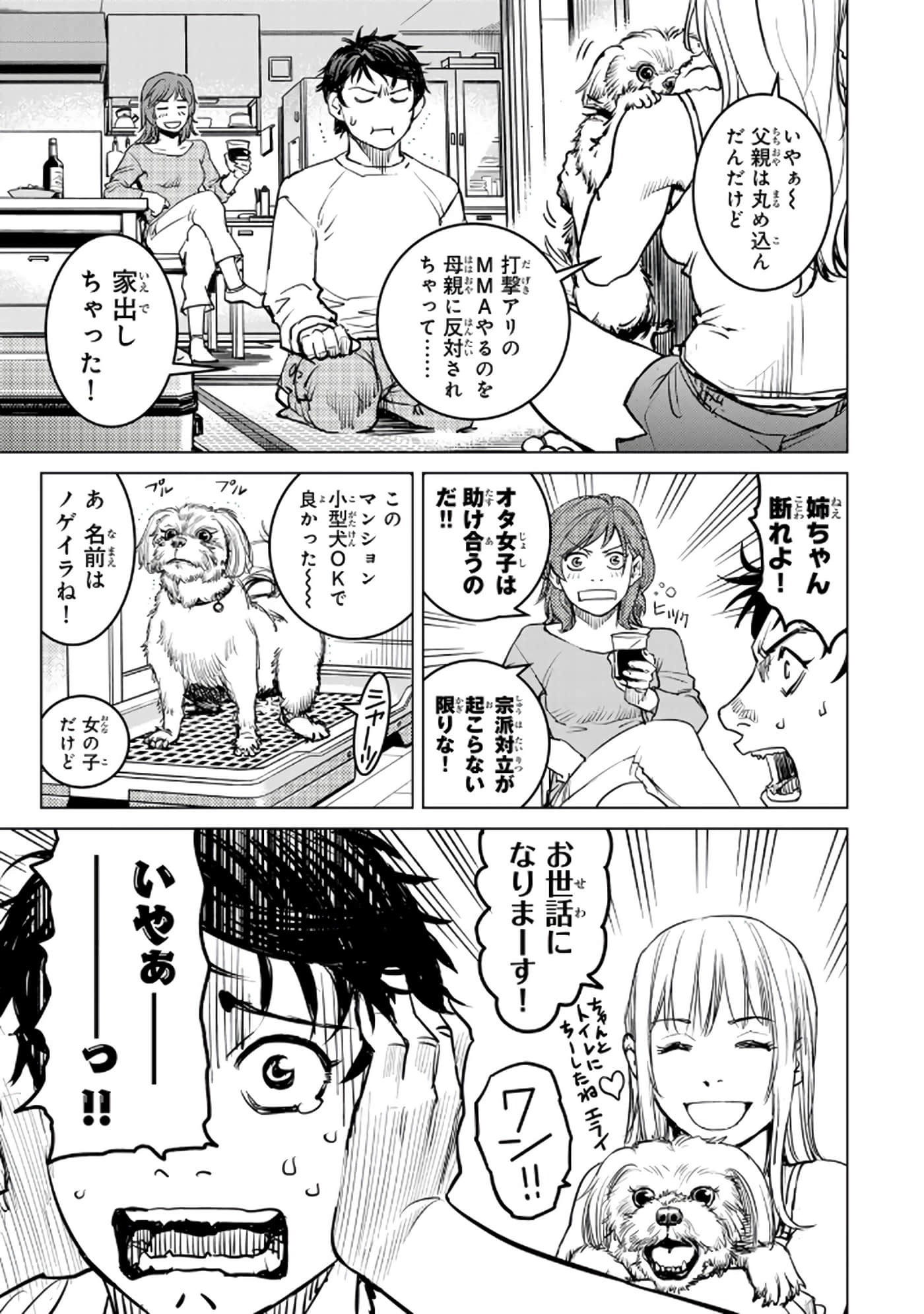 第 46 页