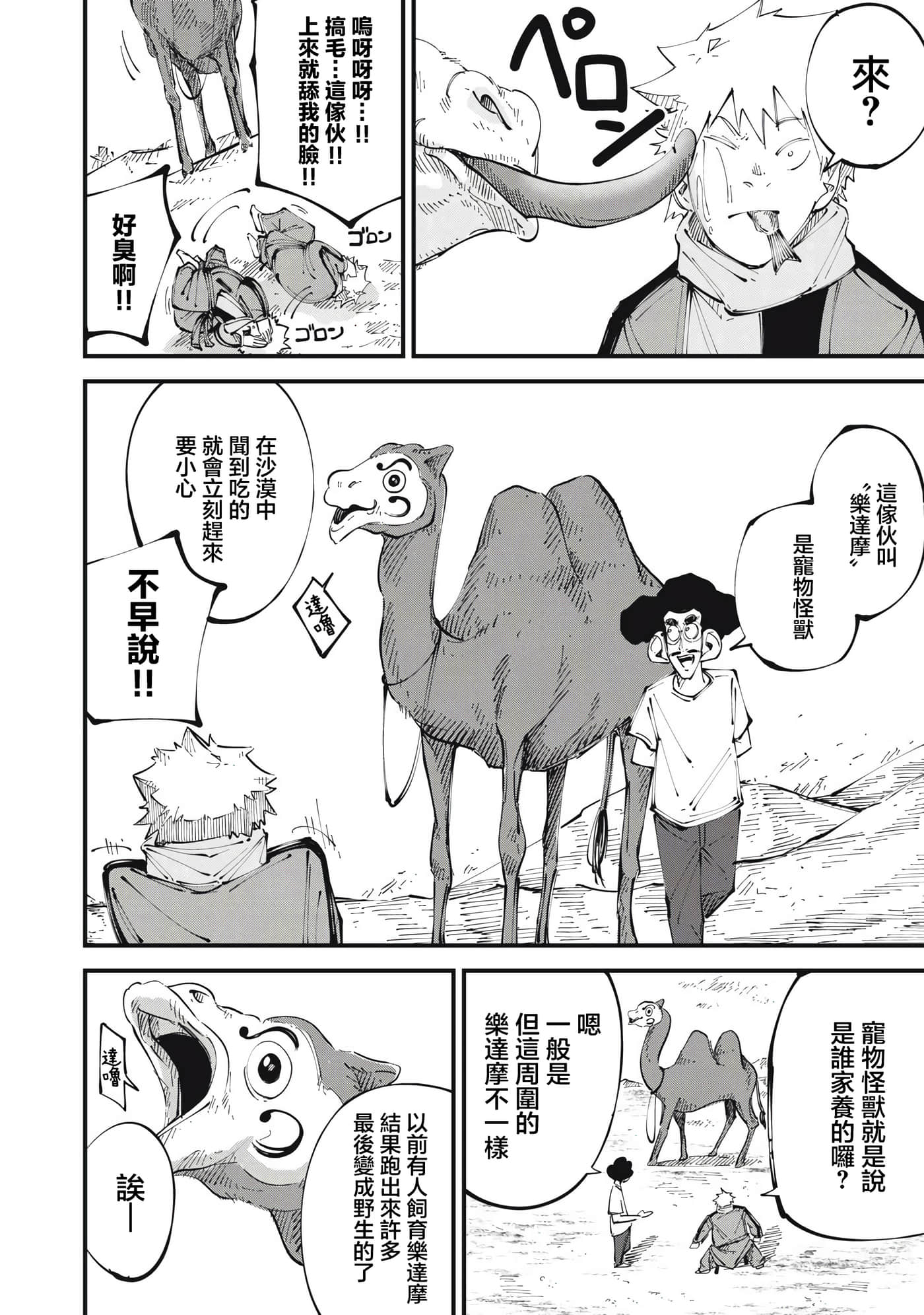 第 4 页