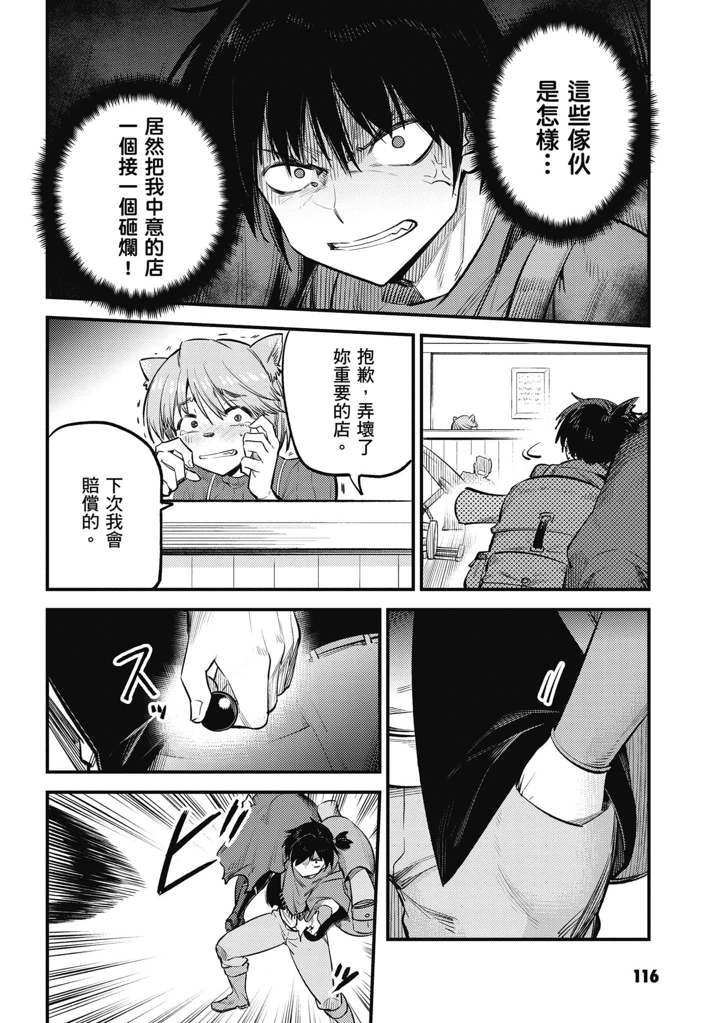 第 117 页