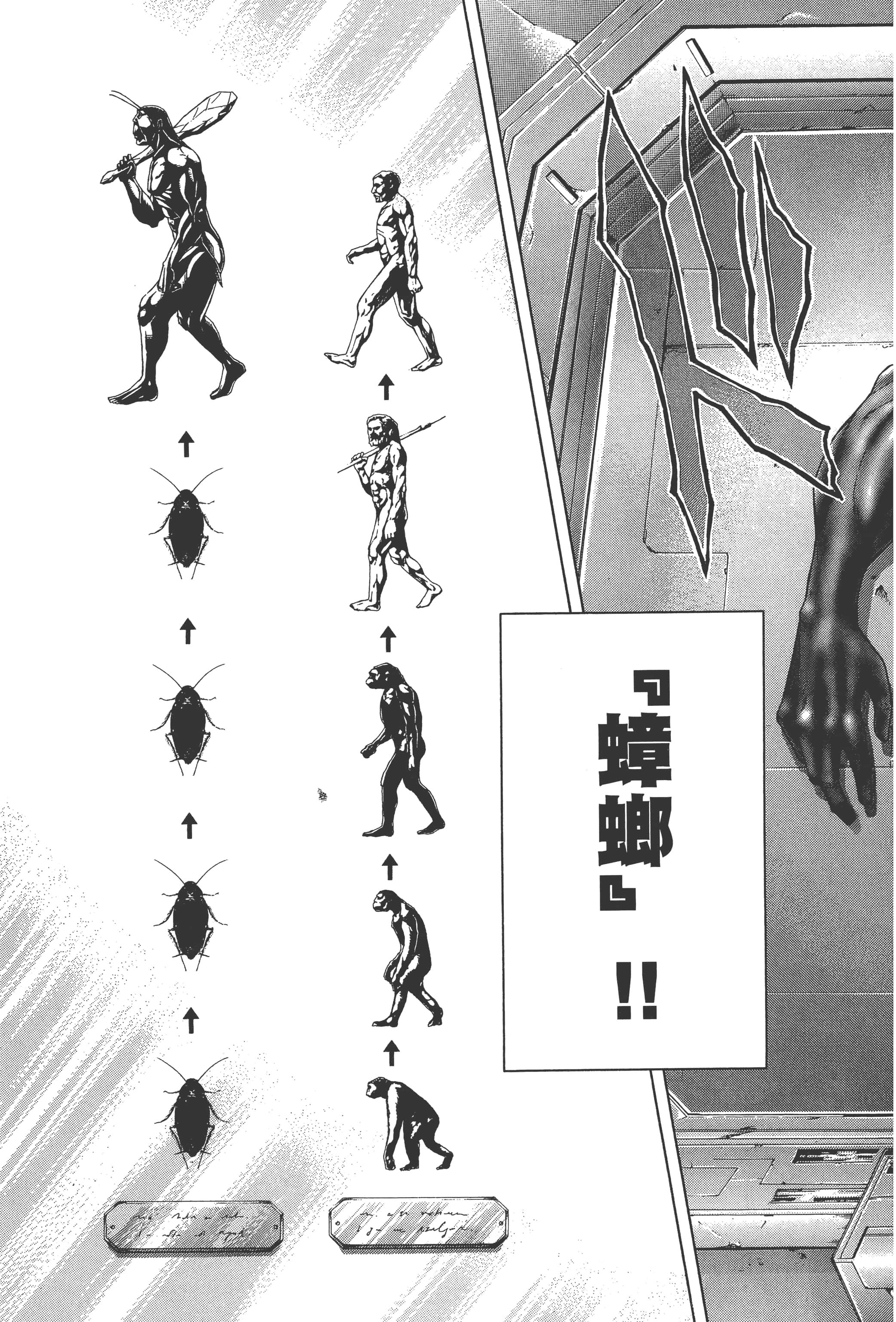 第 2 卷 第 61 页