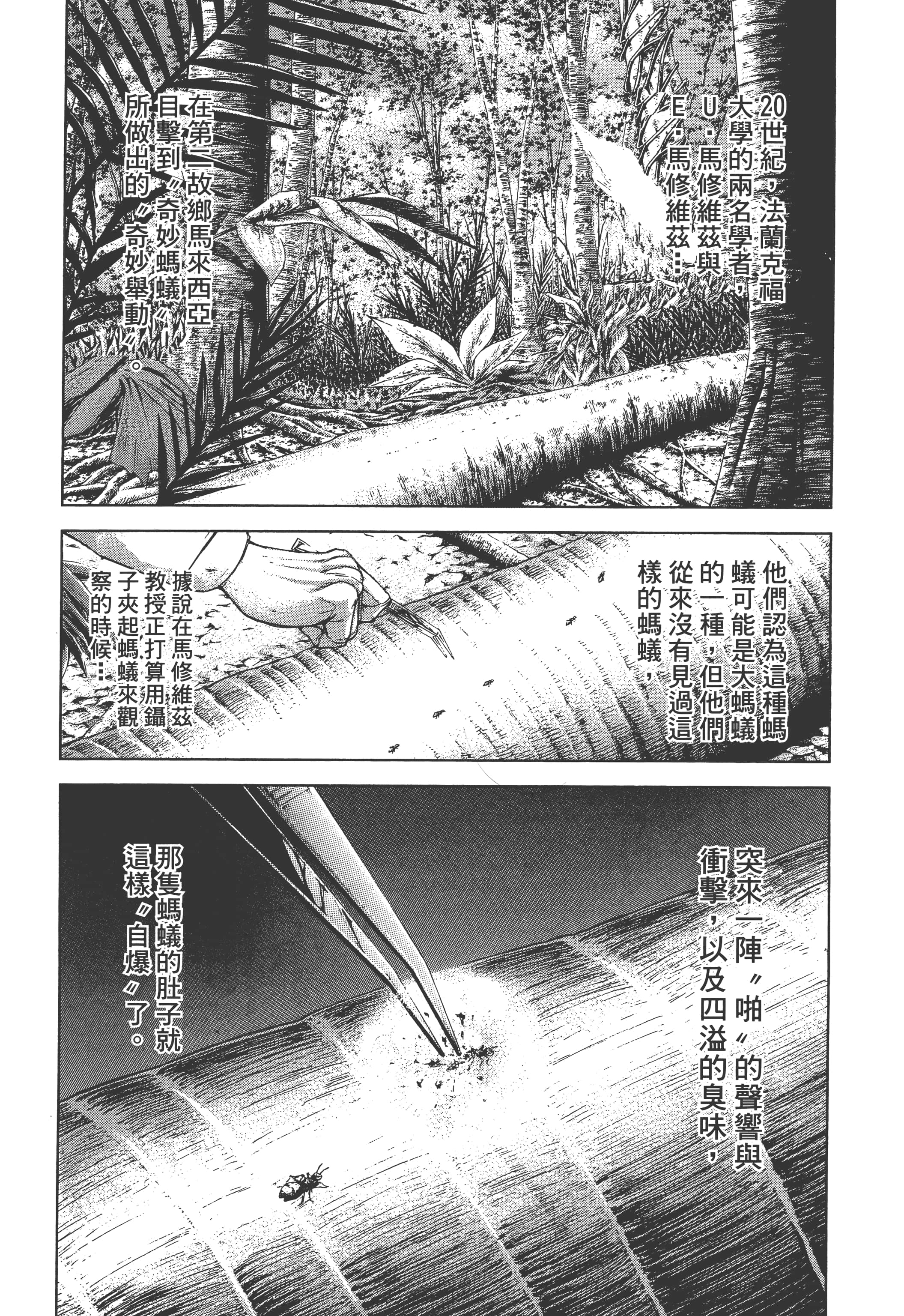 第 3 卷 第 176 页