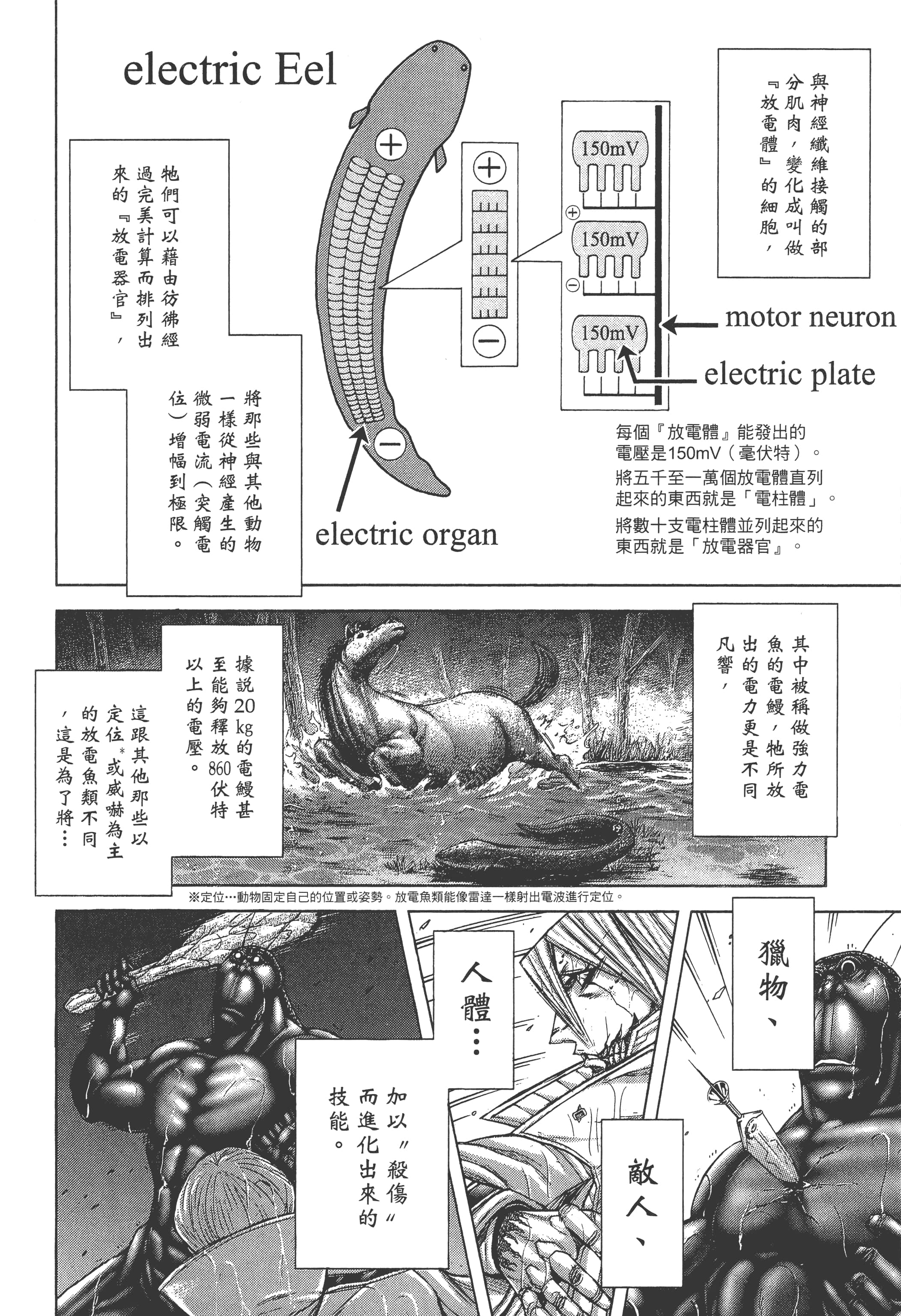 第 4 卷 第 194 页