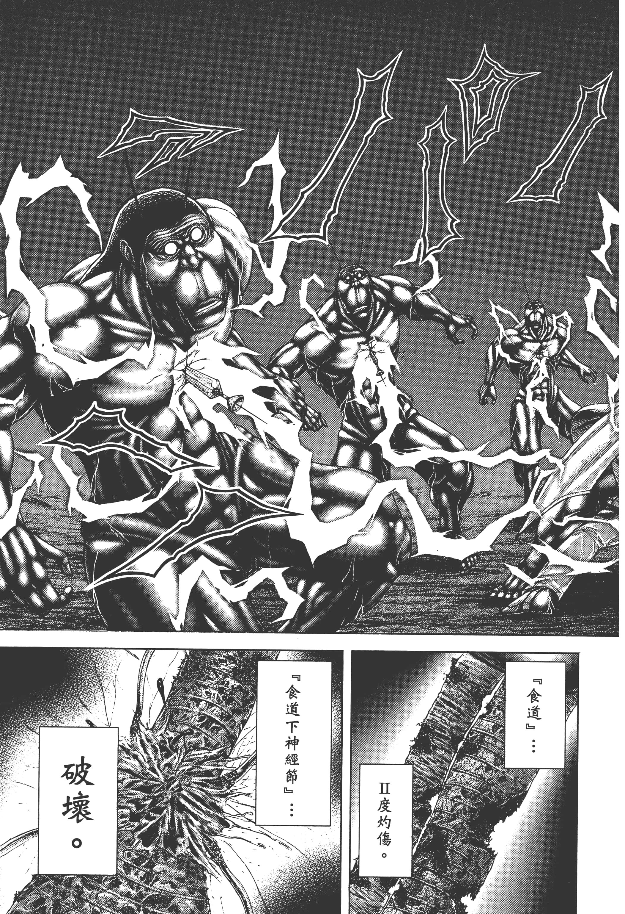 第 4 卷 第 197 页