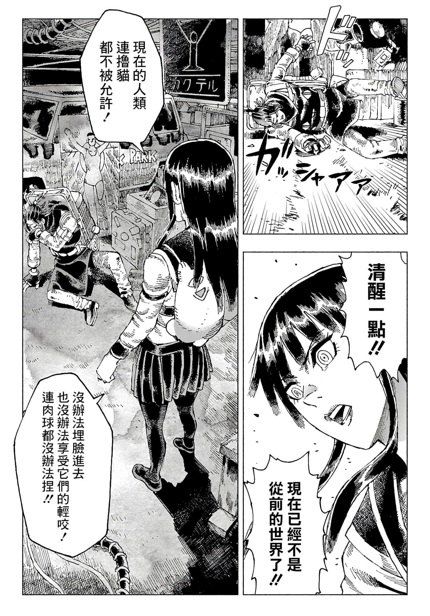 第 14 页
