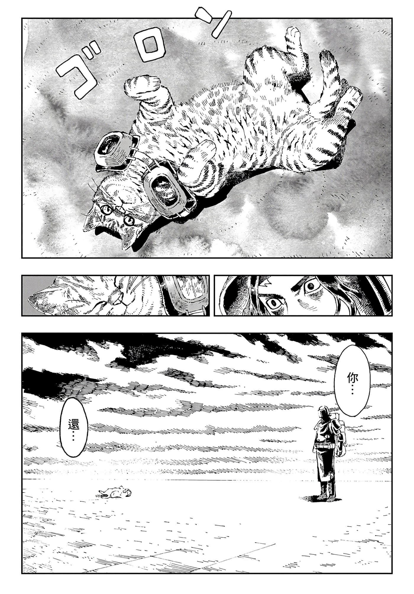 第 36 页