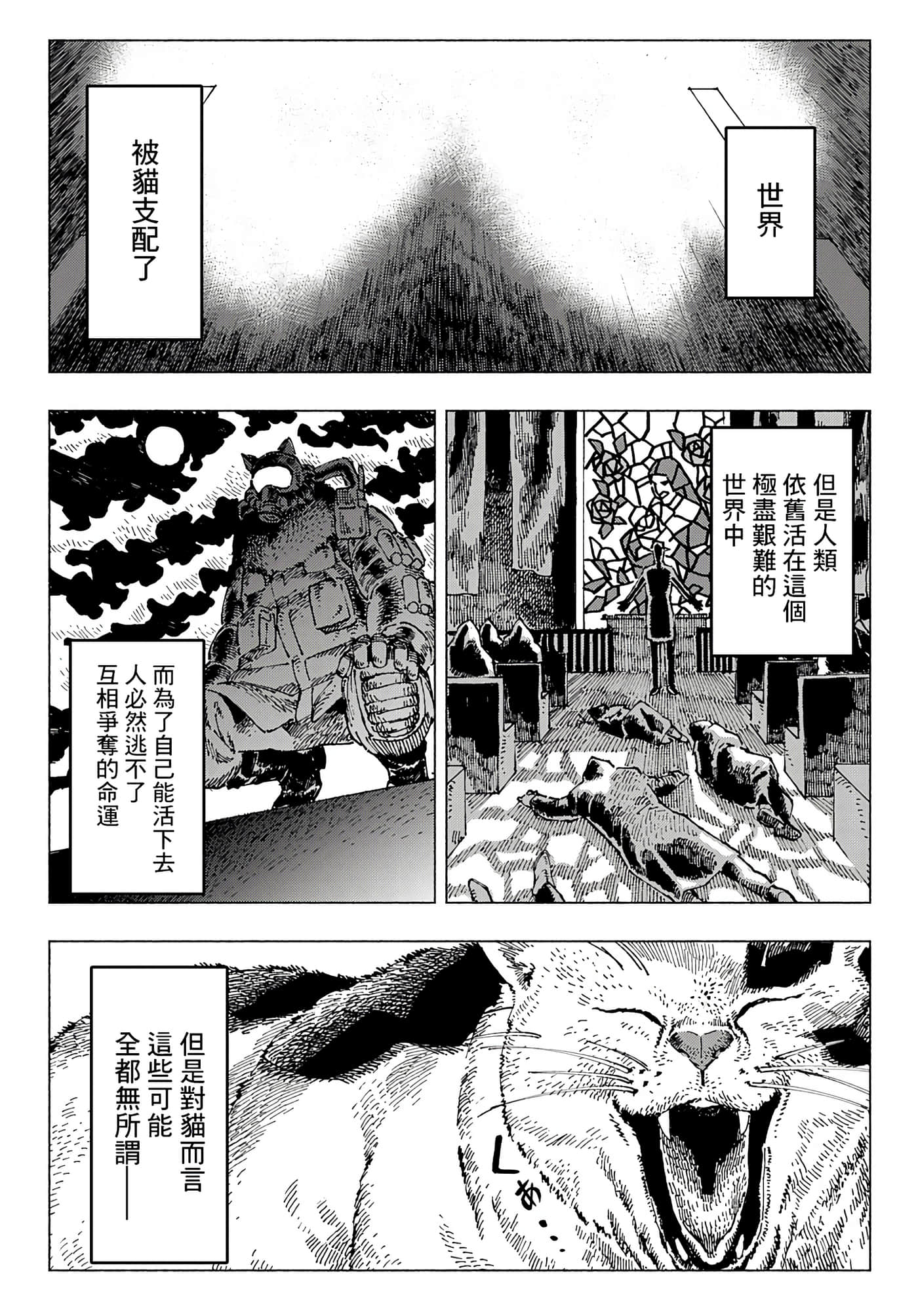 第 42 页