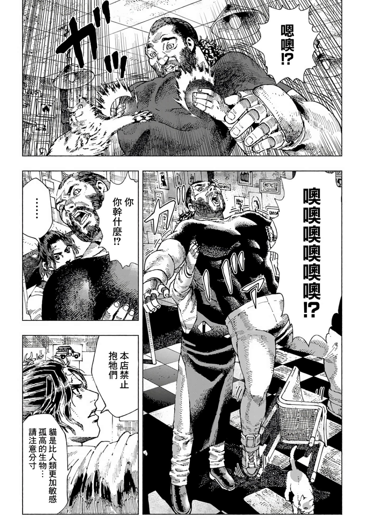 第 19 页