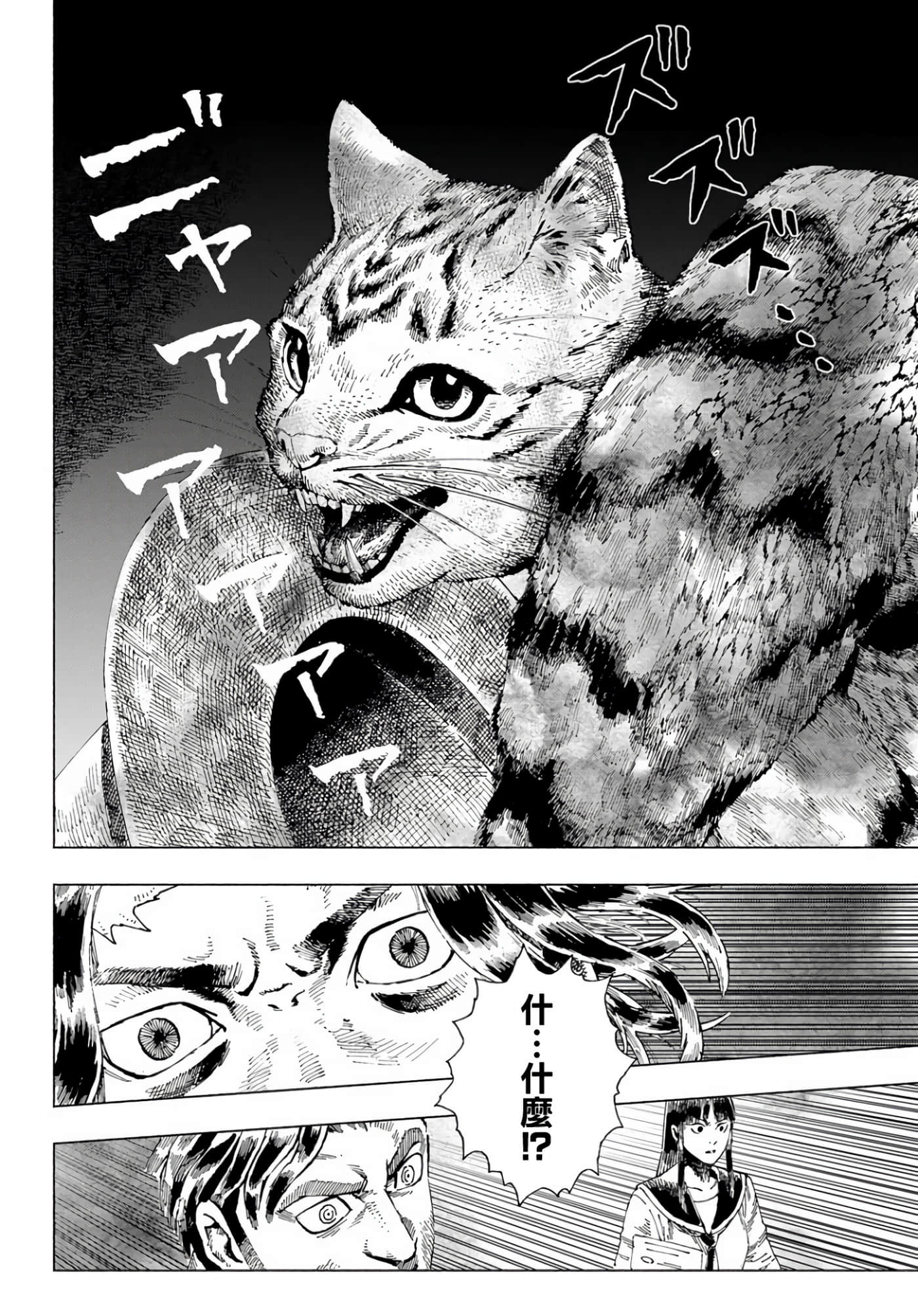 第 34 页