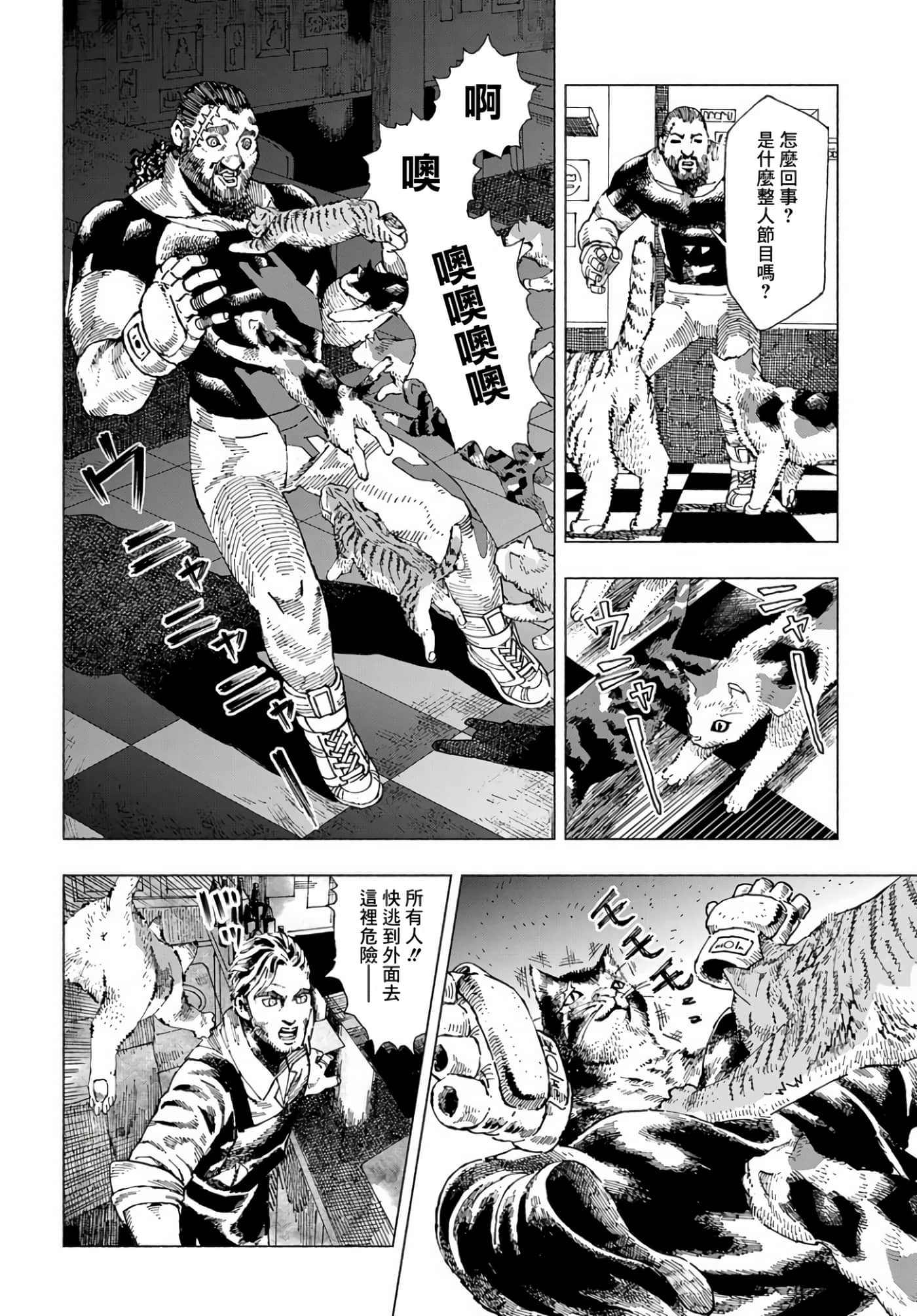 第 36 页