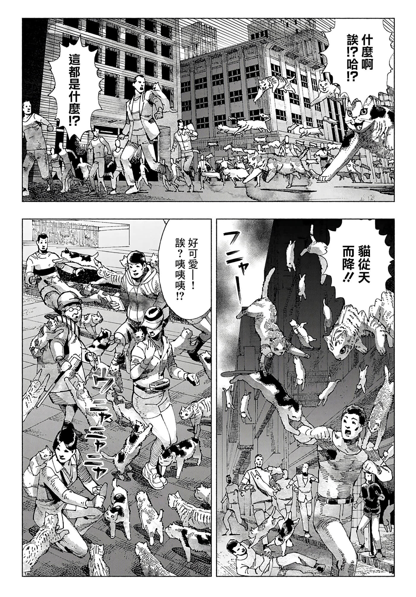 第 42 页