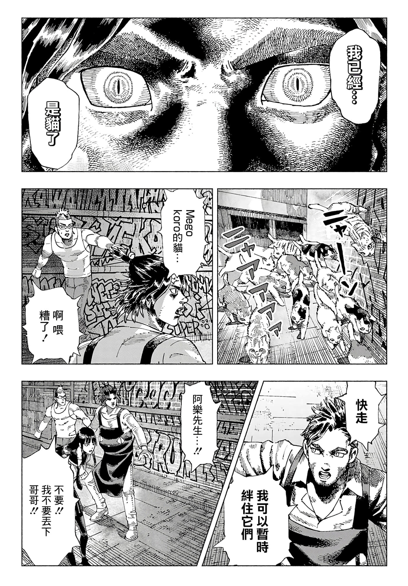 第 48 页