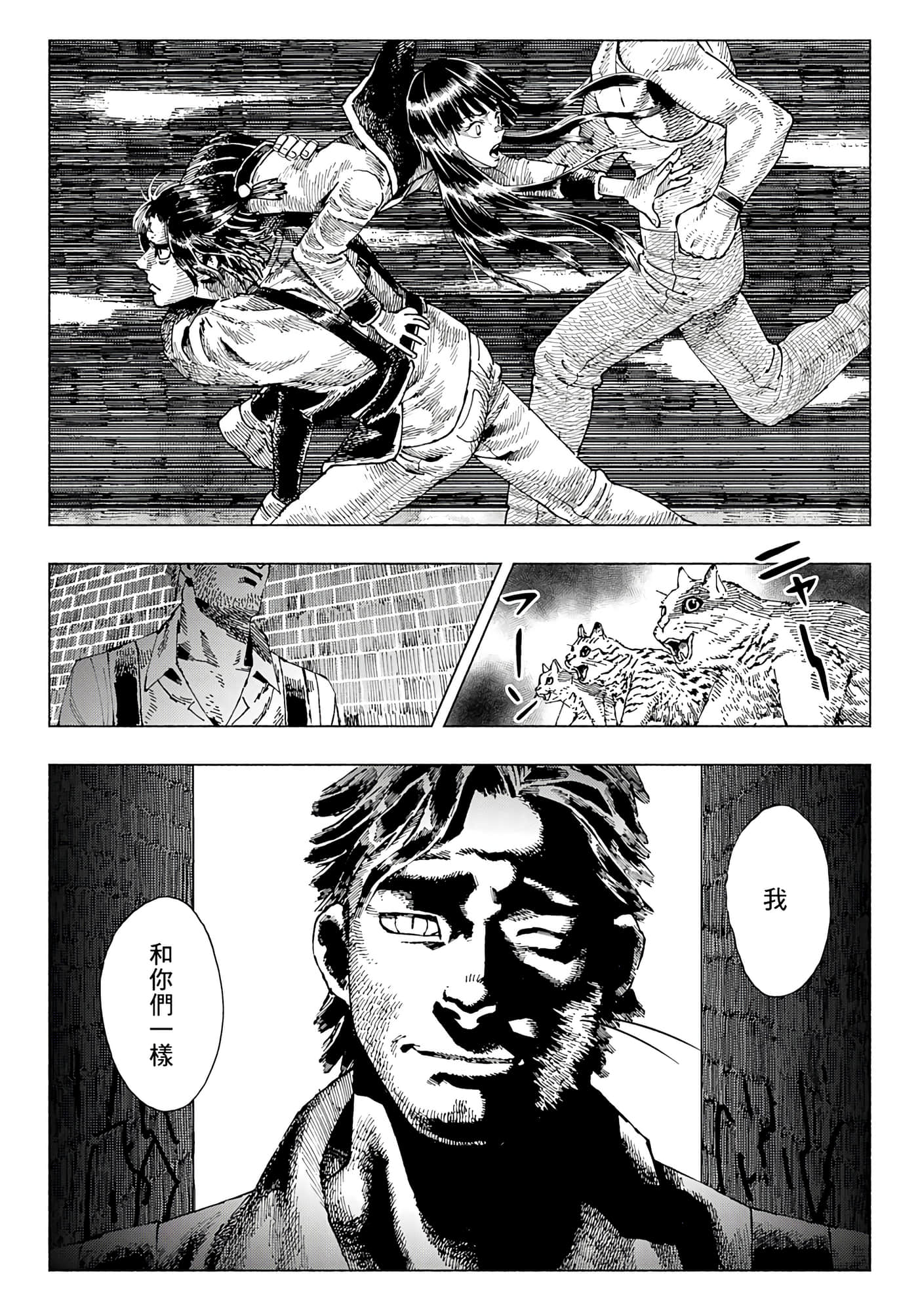 第 50 页