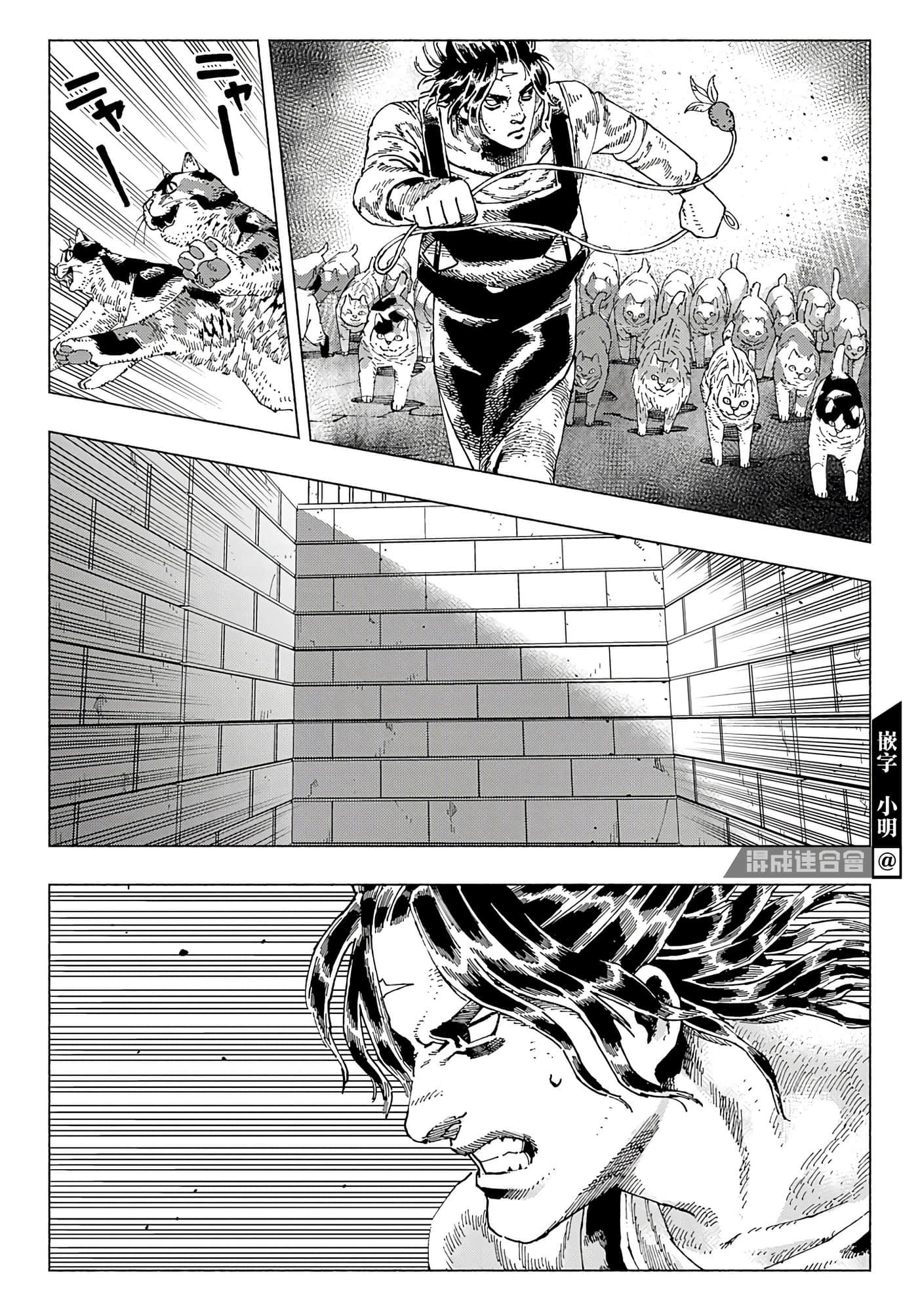 第 24 页