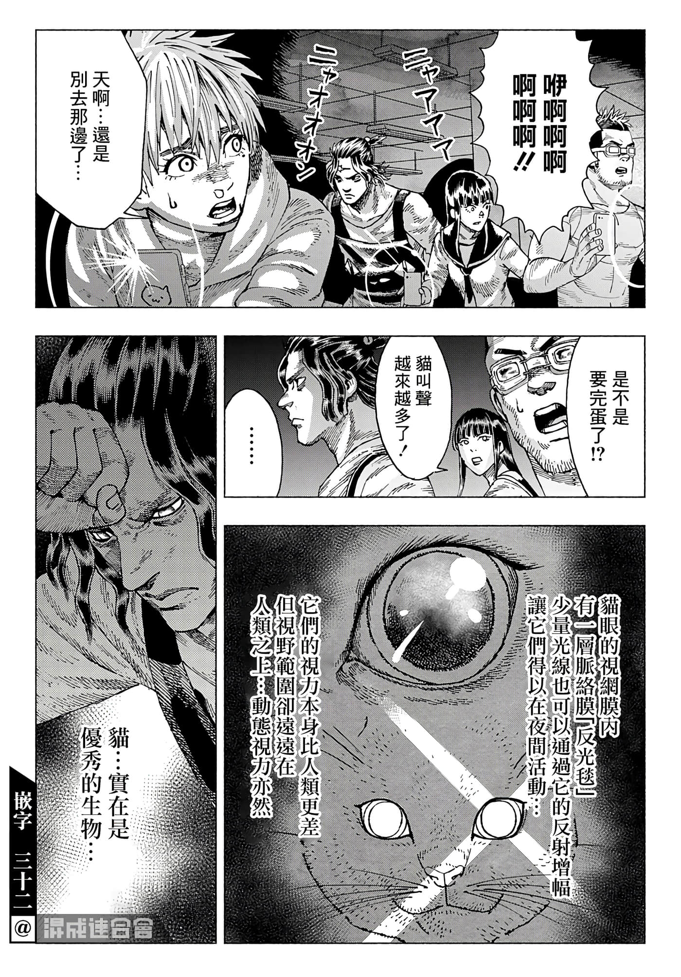 第 28 页