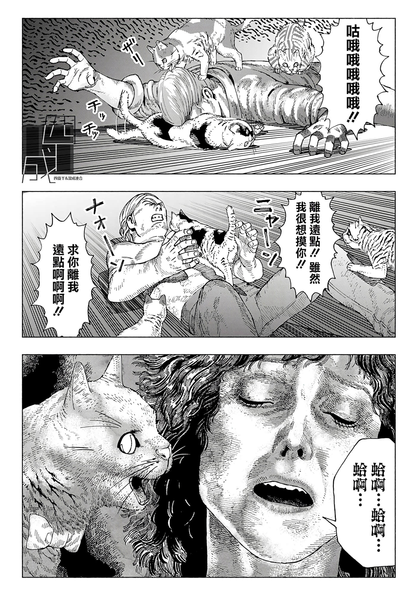 第 29 页