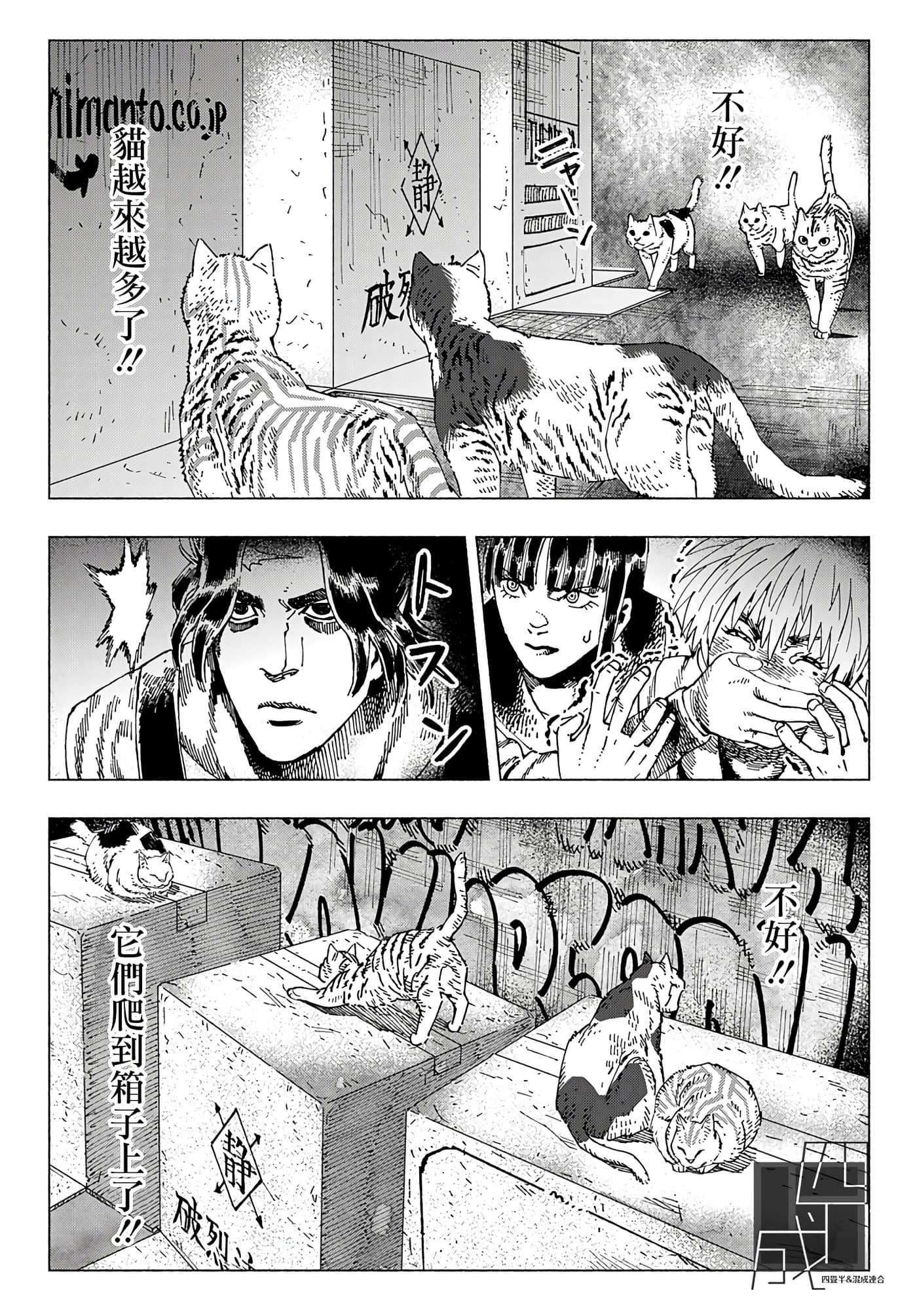 第 40 页