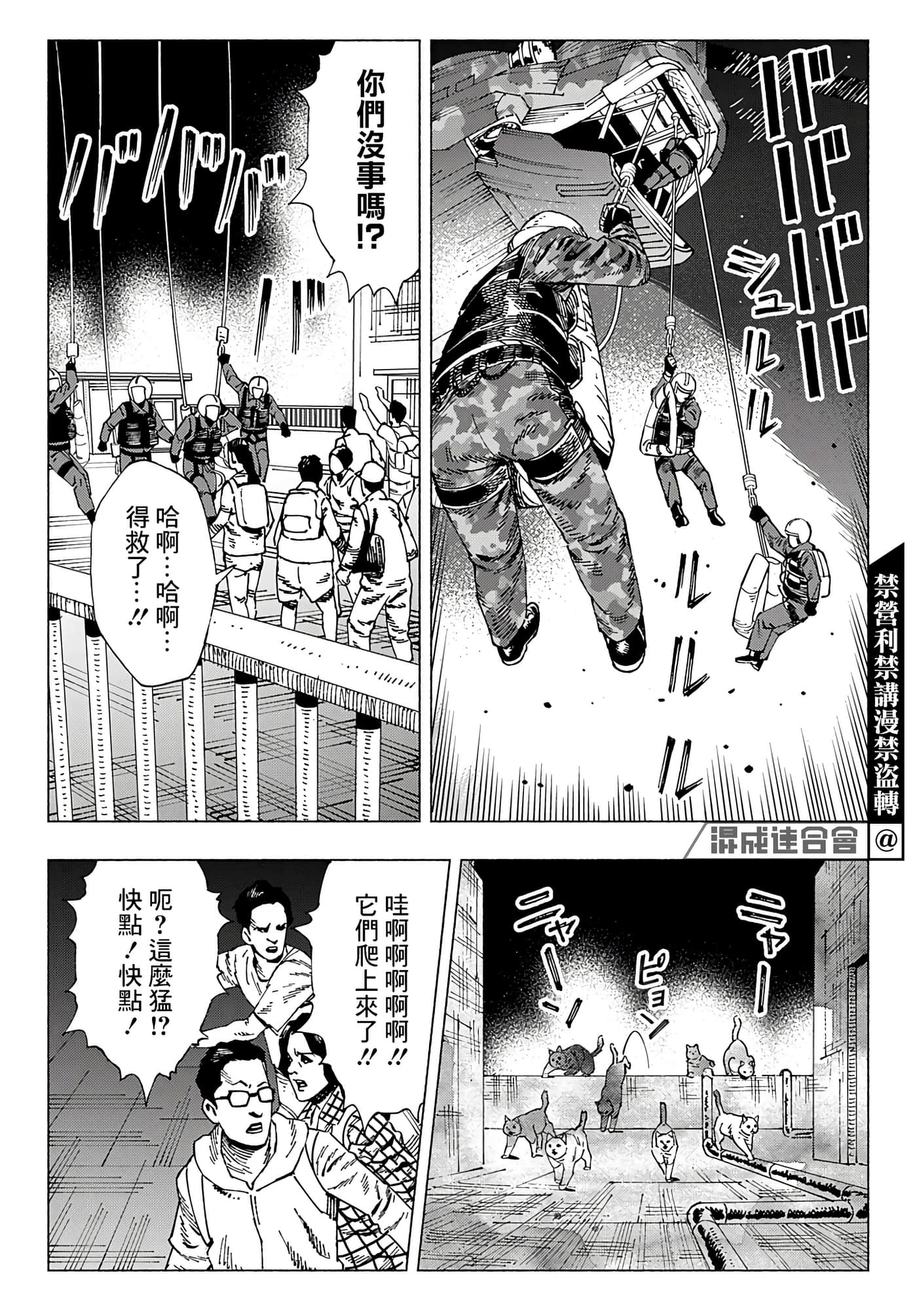 第 41 页