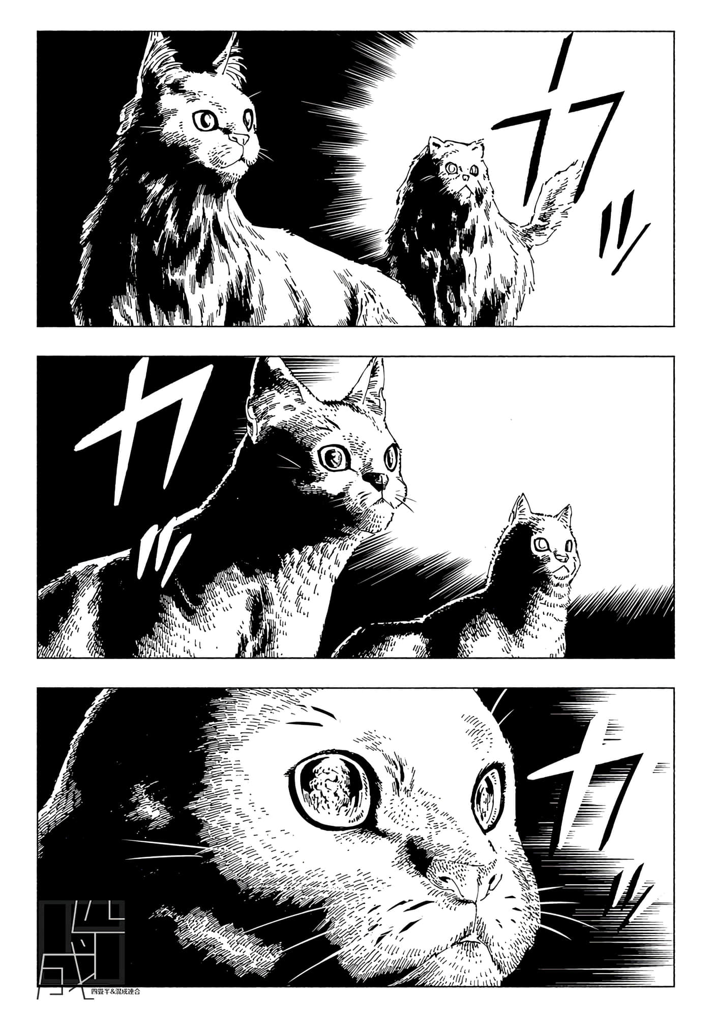 第 50 页