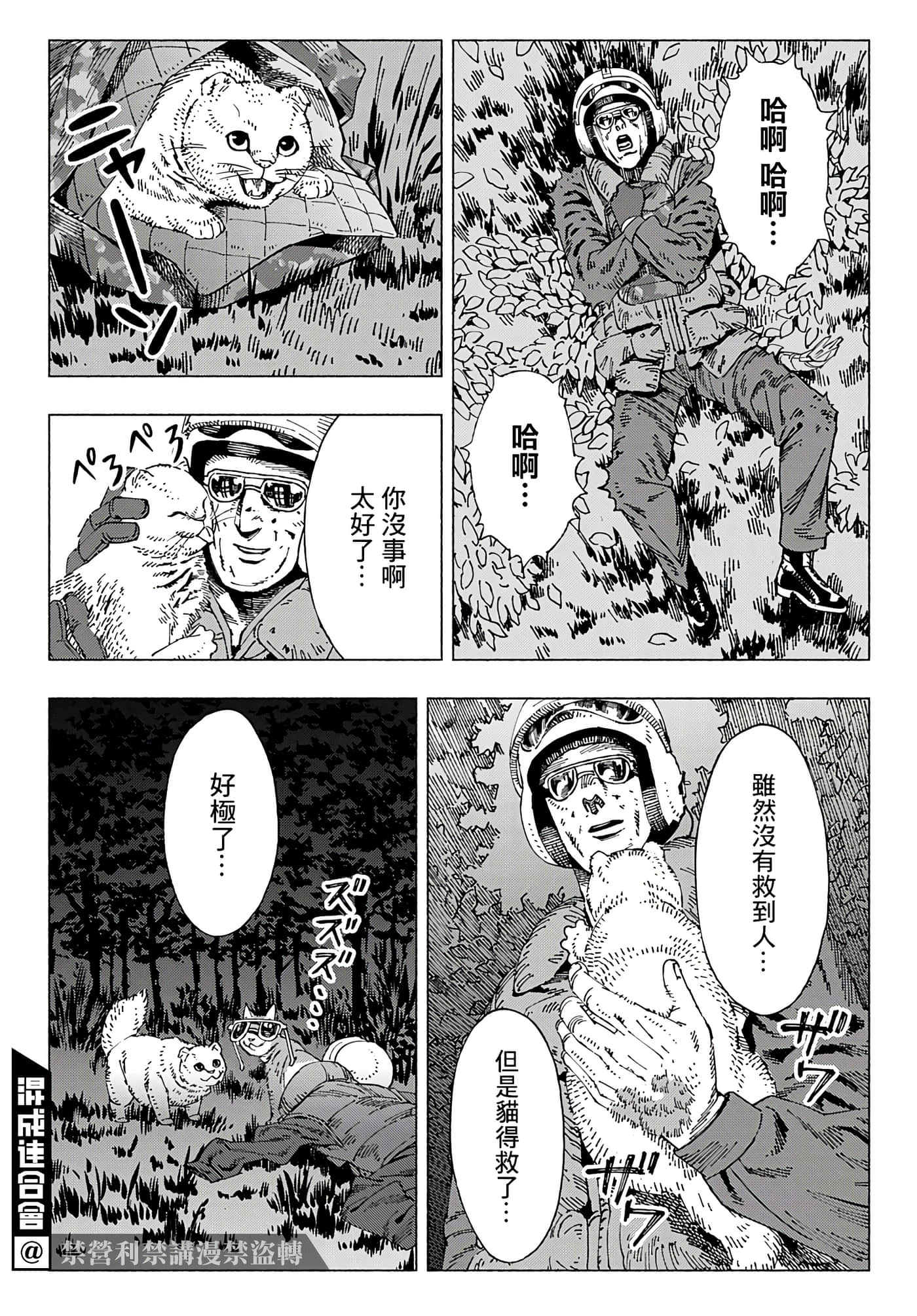 第 51 页