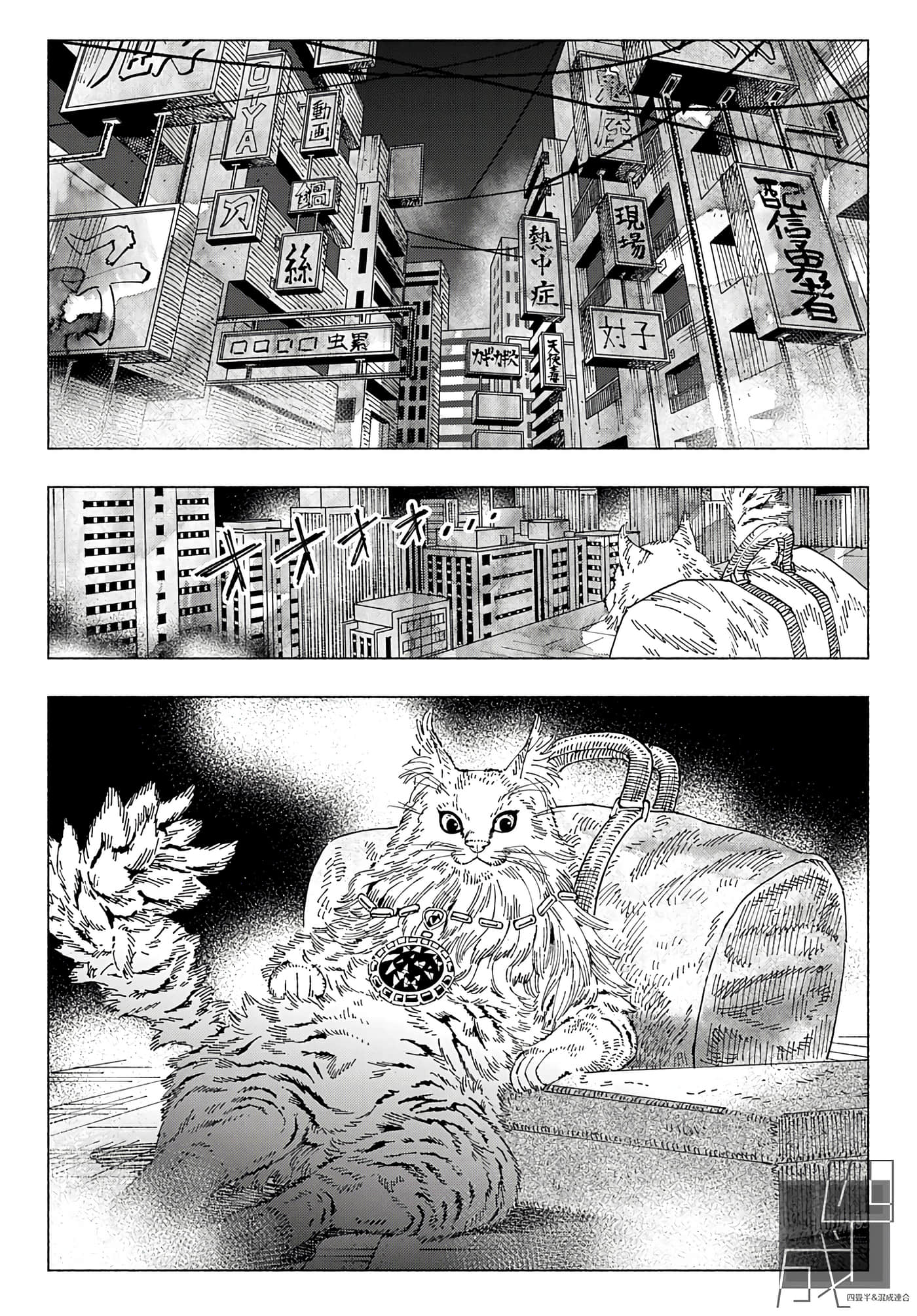 第 54 页