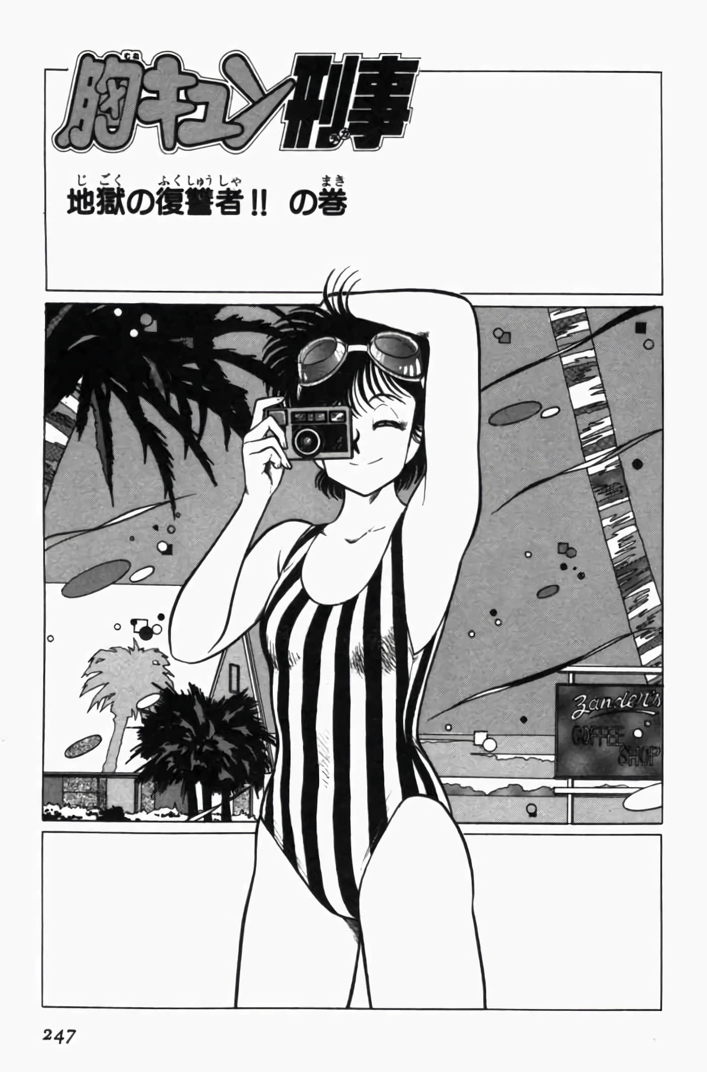 第 3 卷 第 251 页