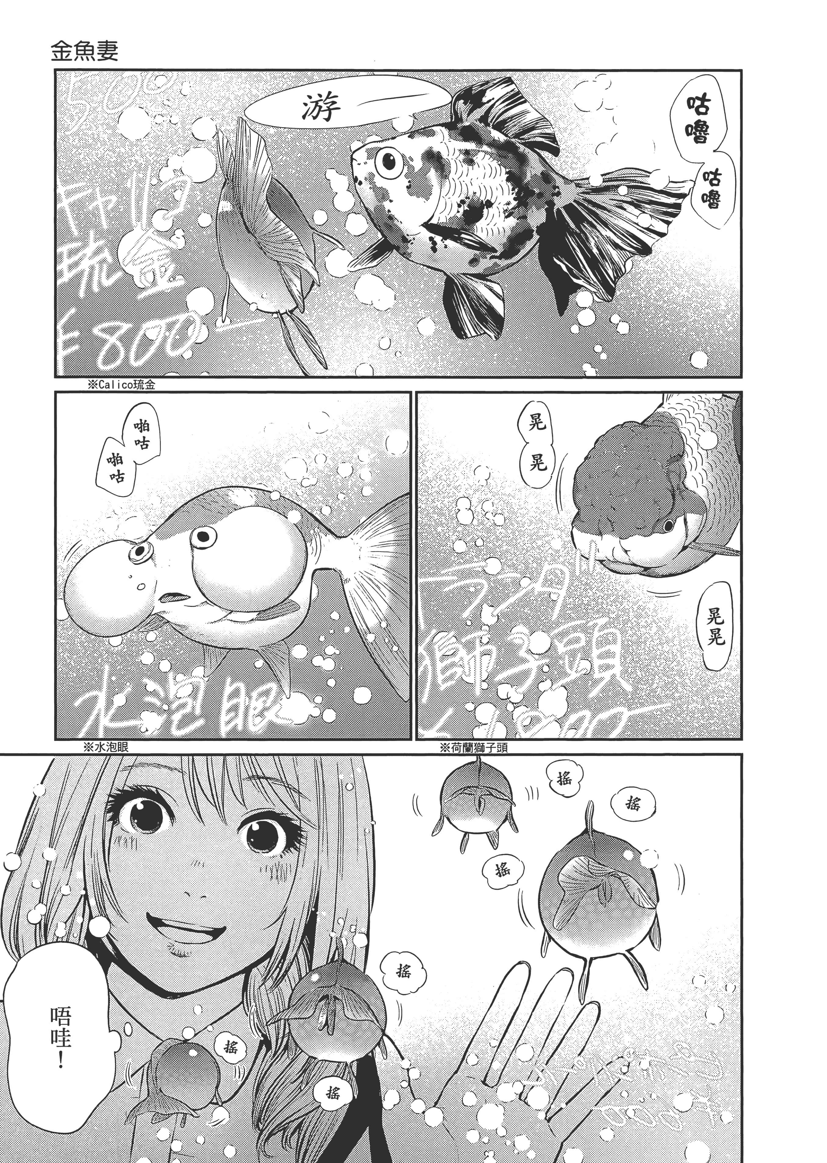 第 1 卷 第 13 页