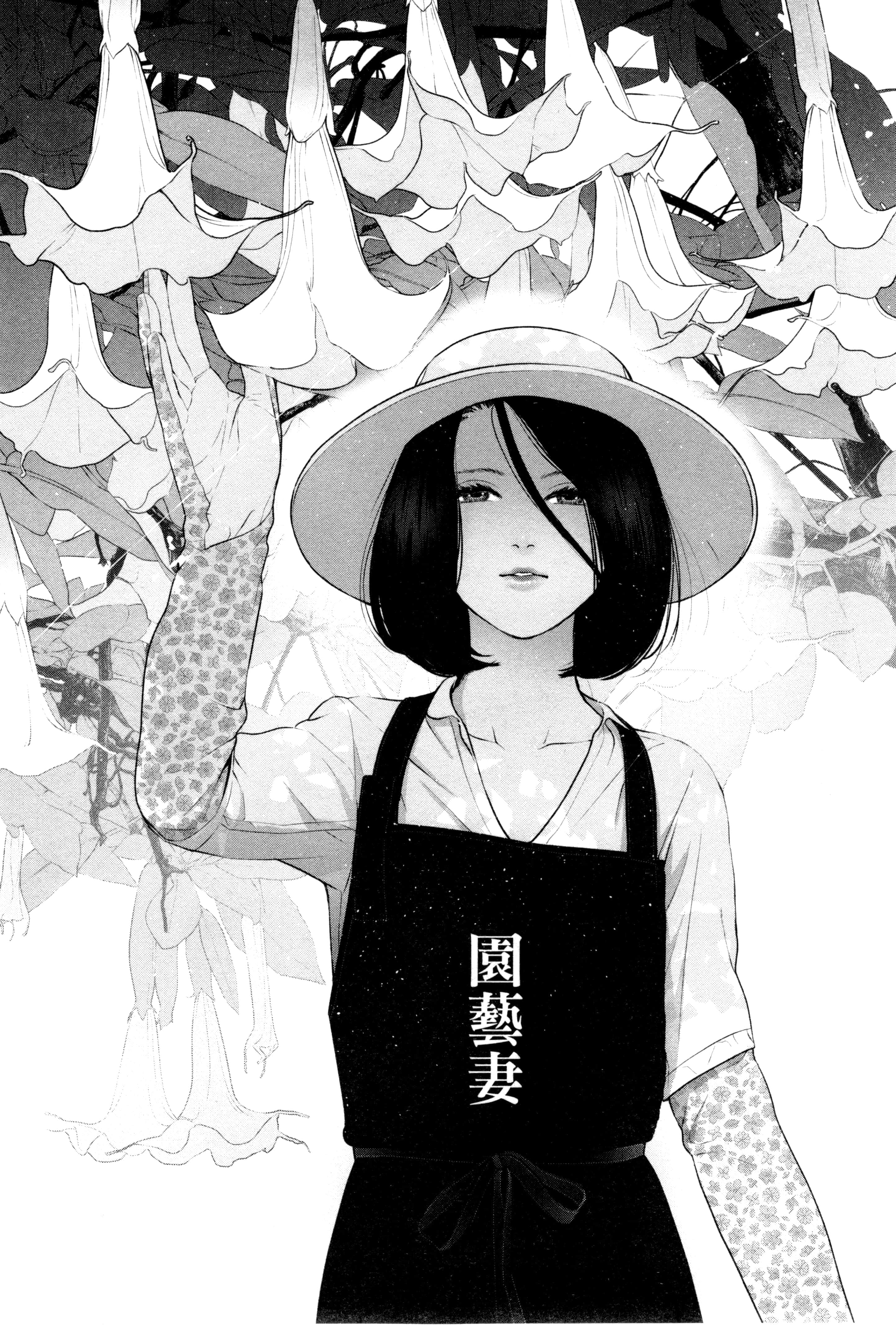 第 2 卷 第 86 页