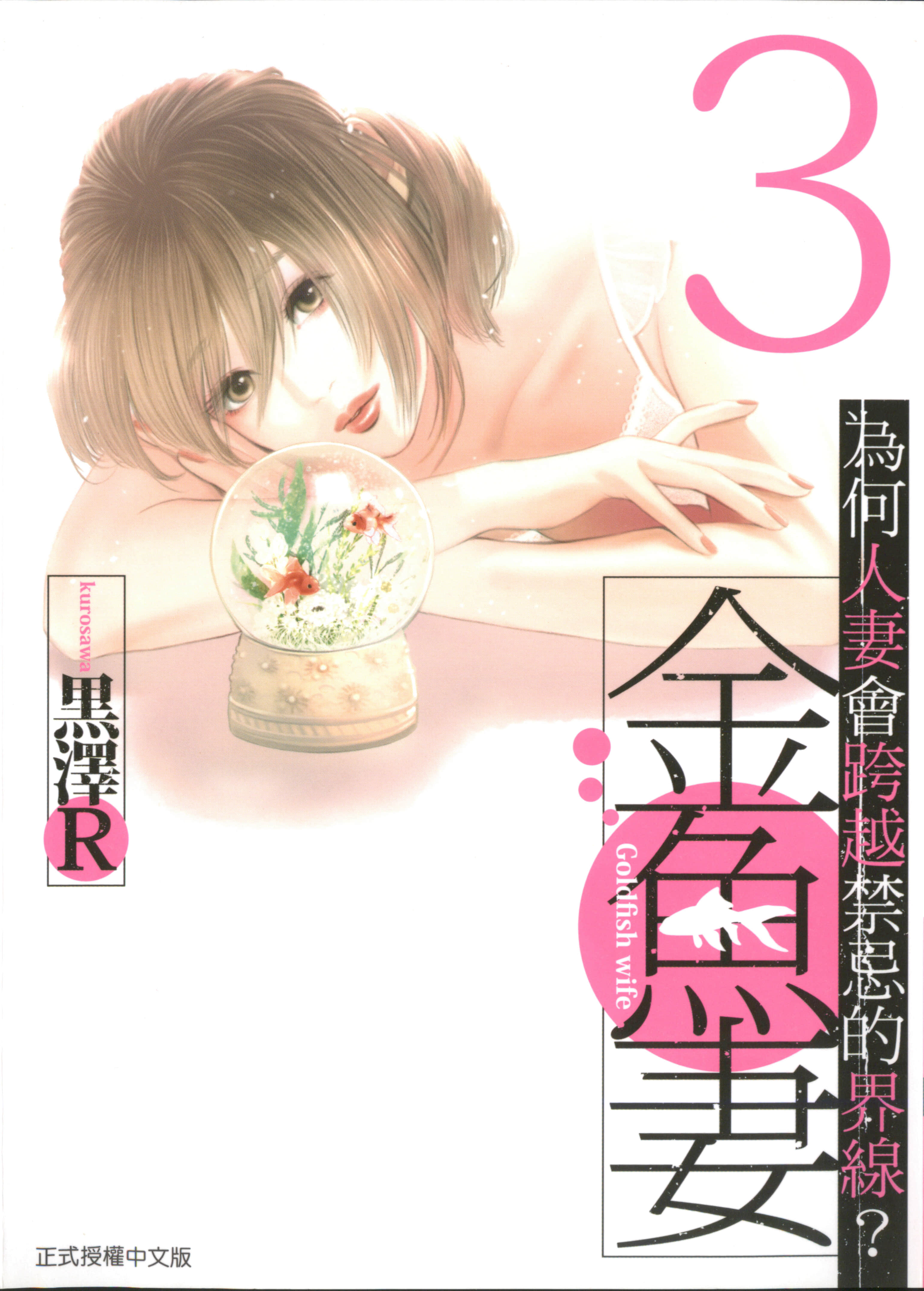 第 3 卷 第 1 页