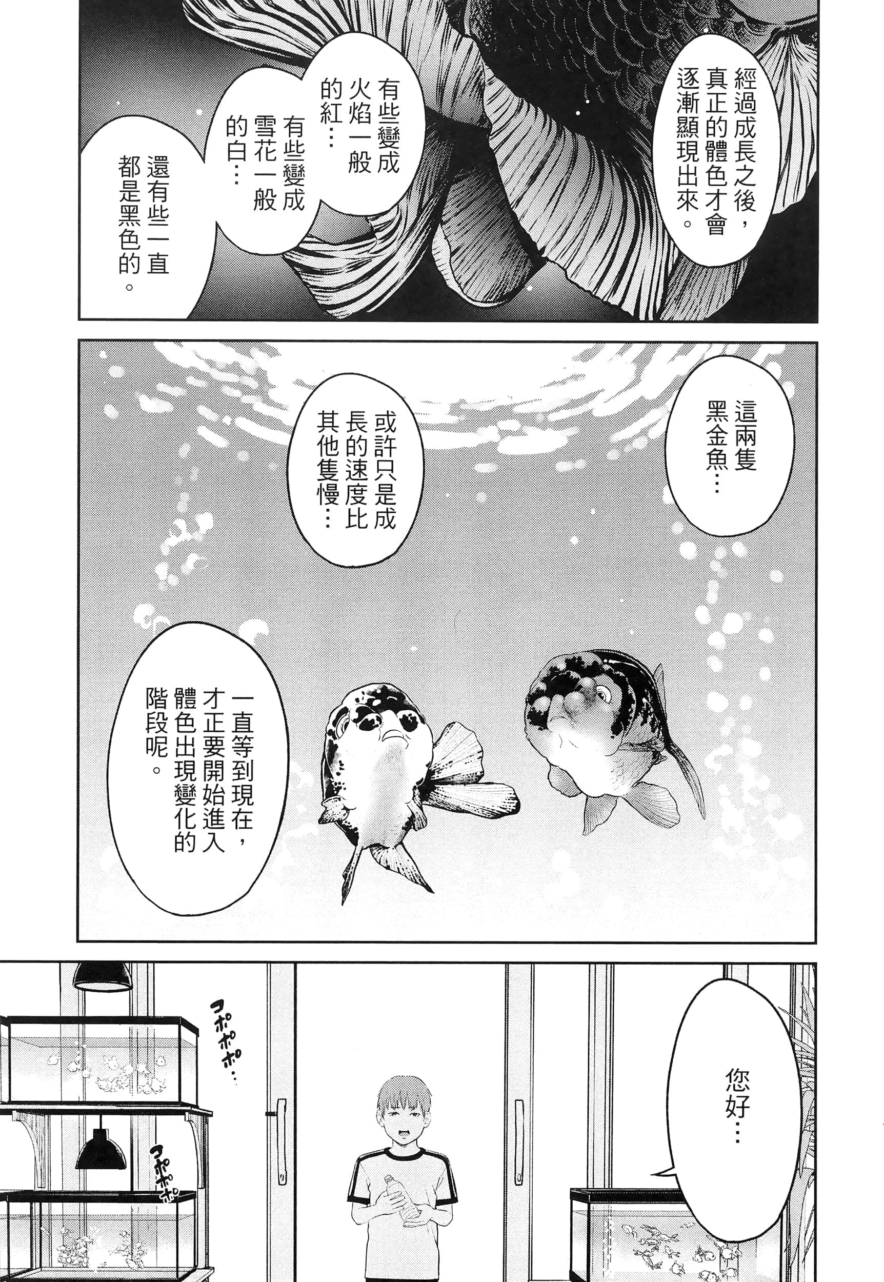 第 4 卷 第 161 页