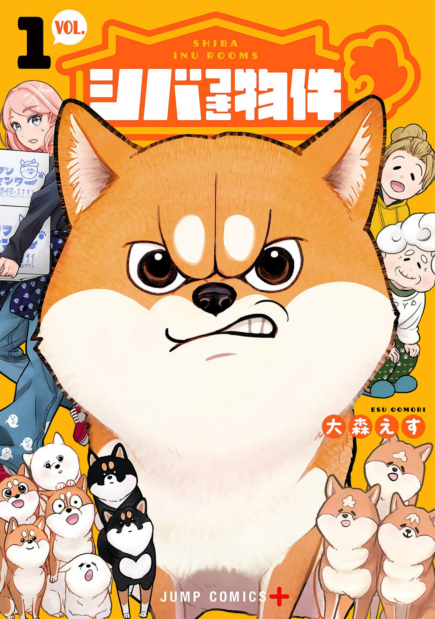 第 2-5 卷 第 1 页