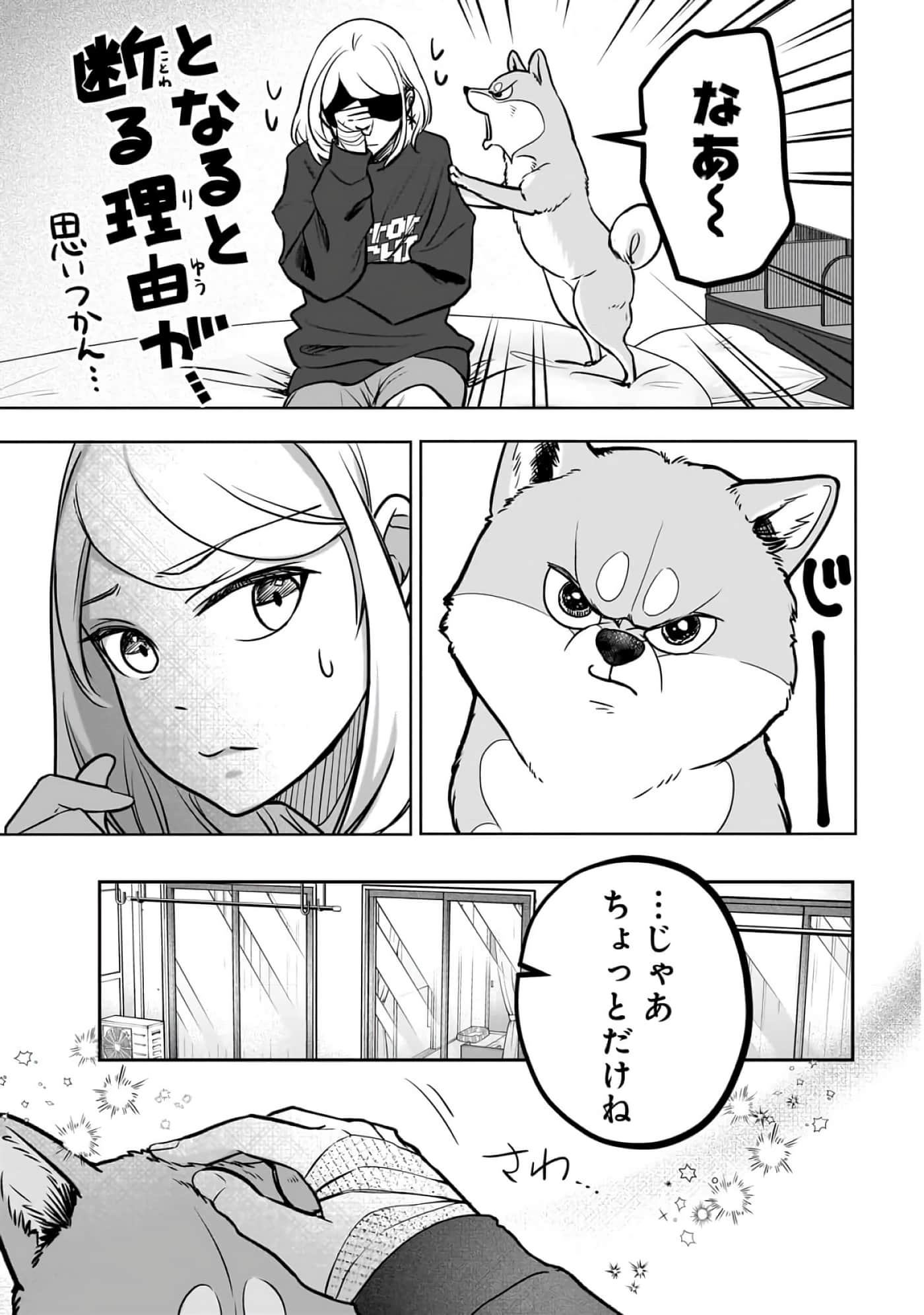第 2-5 卷 第 11 页