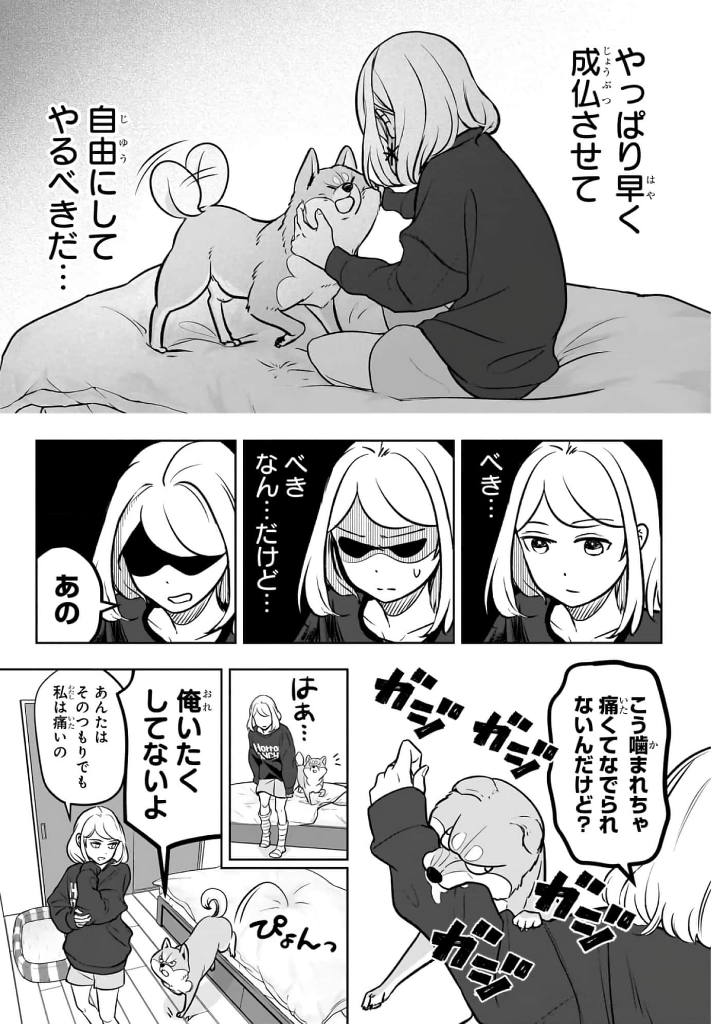 第 2-5 卷 第 17 页