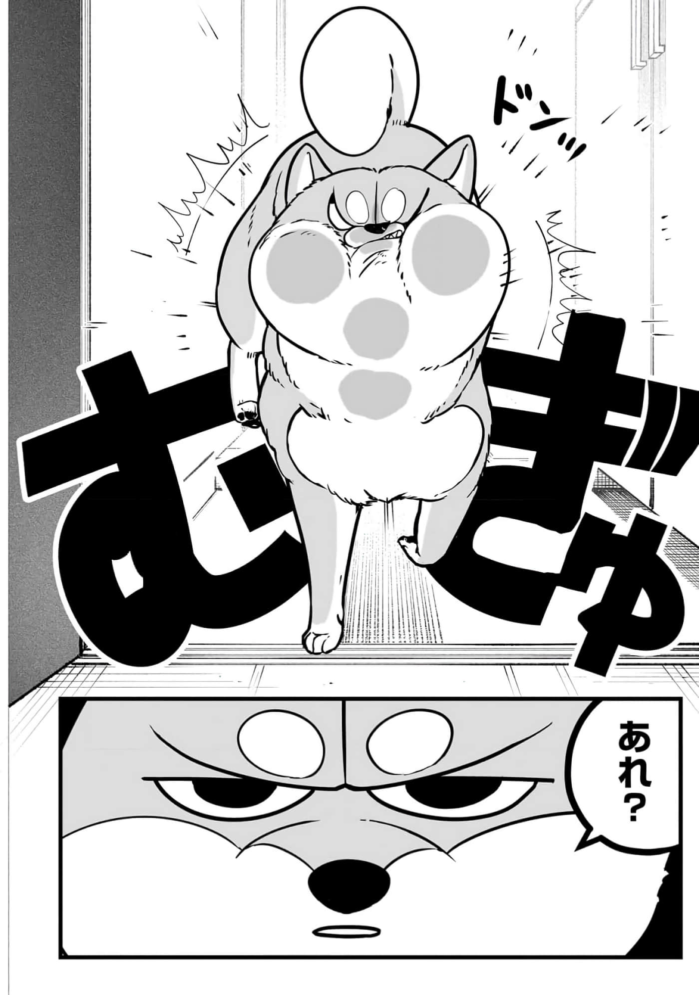 第 6-11 卷 第 113 页