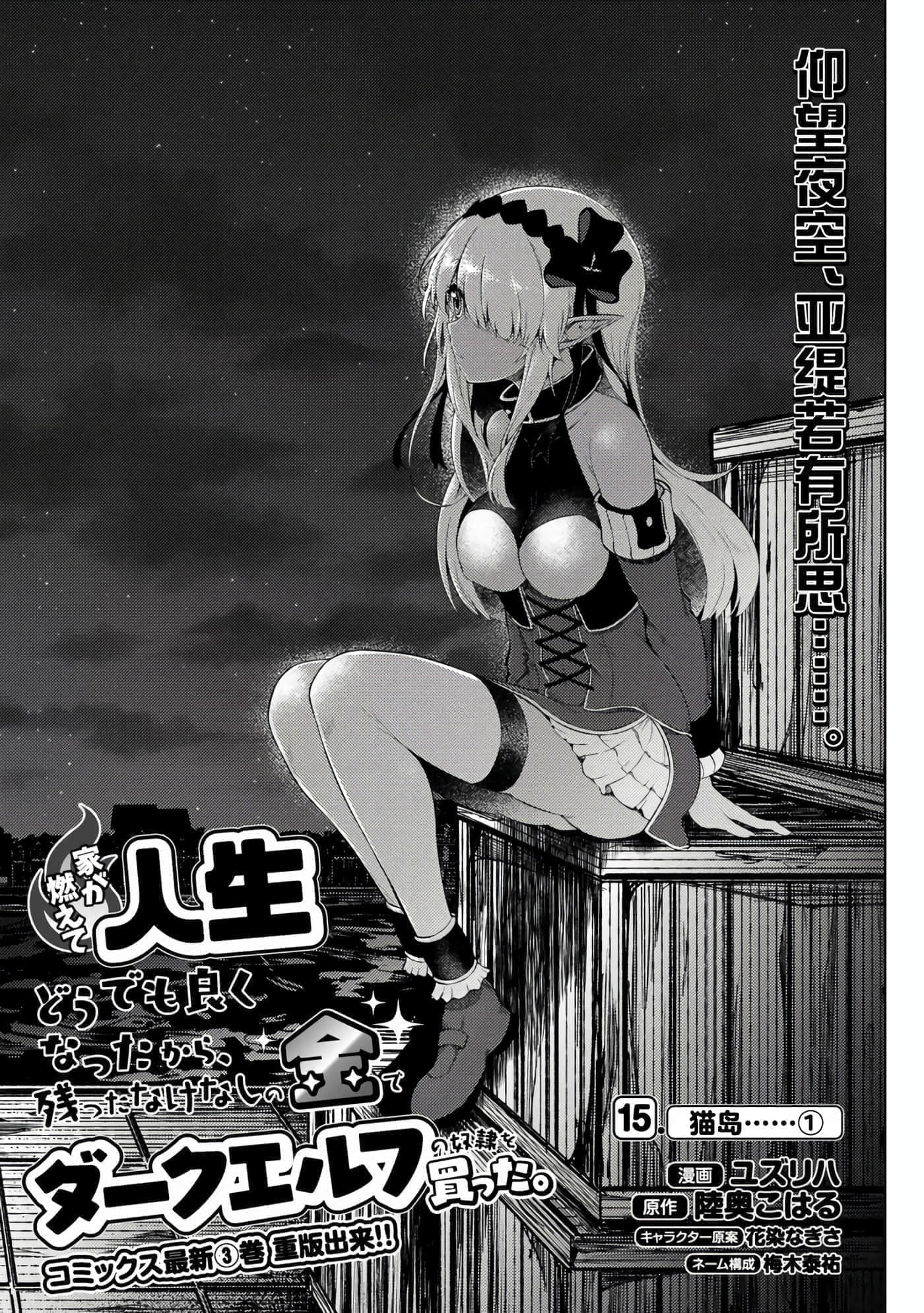 第 15 卷 第 3 页