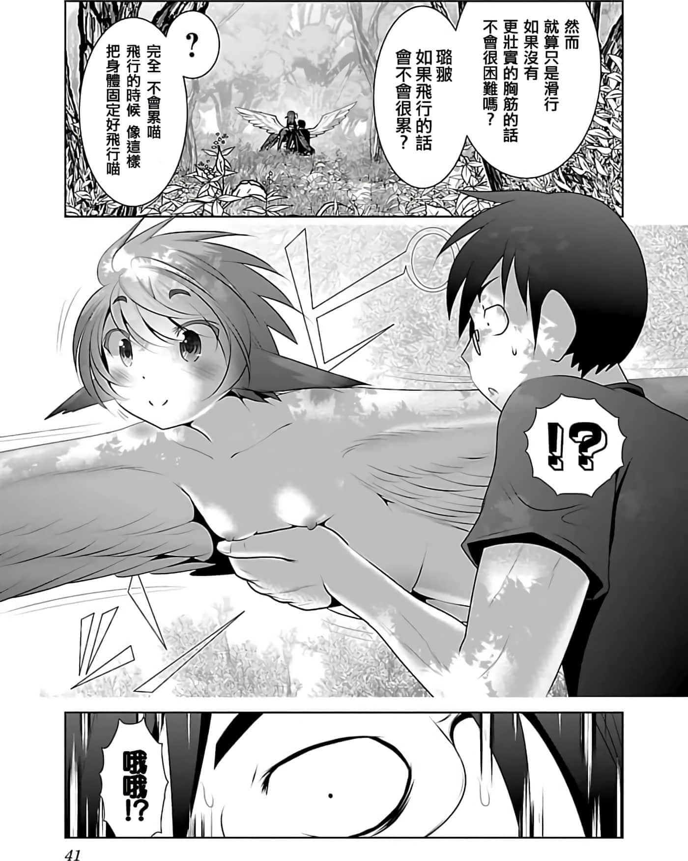 第 1 卷 第 41 页
