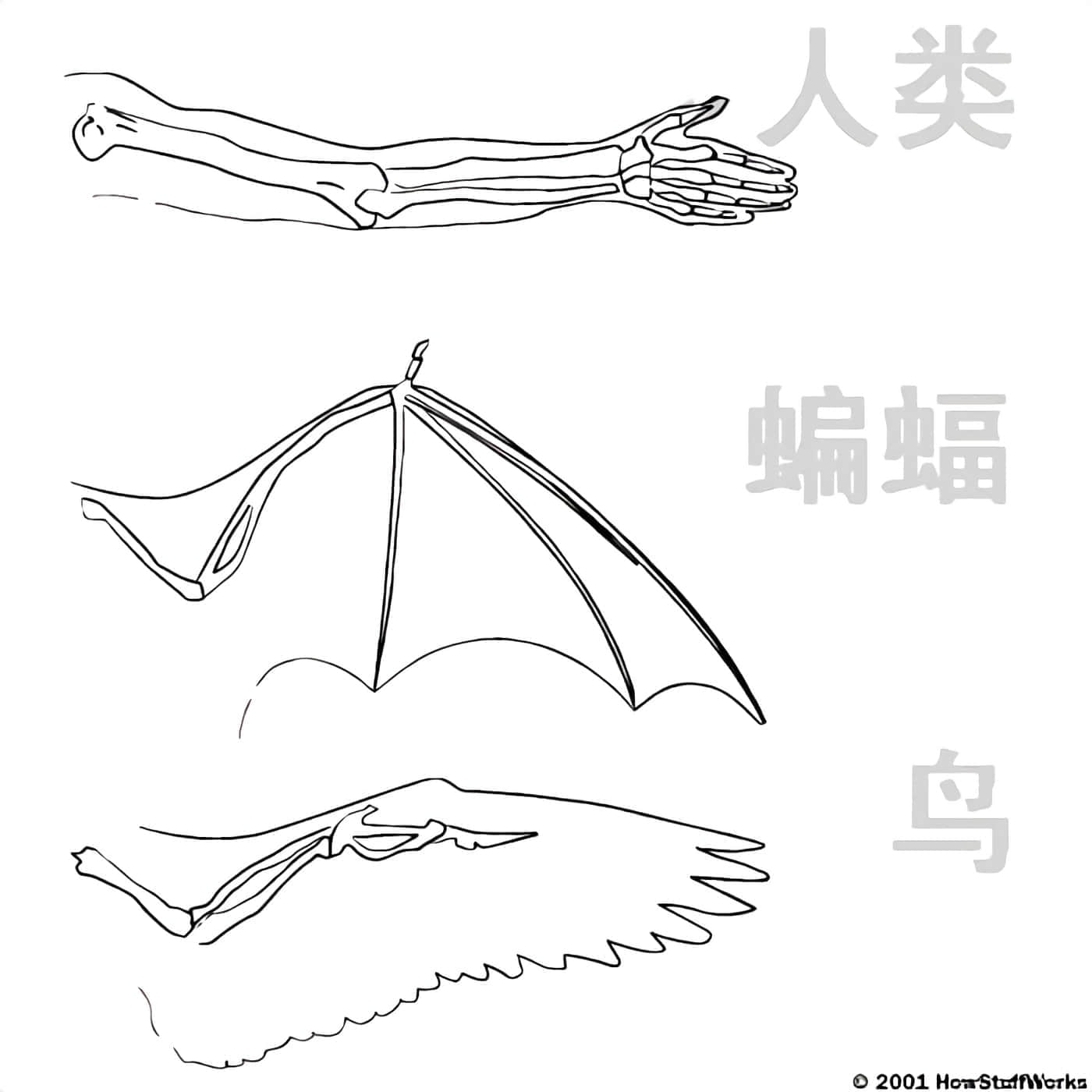 第 1 卷 第 148 页