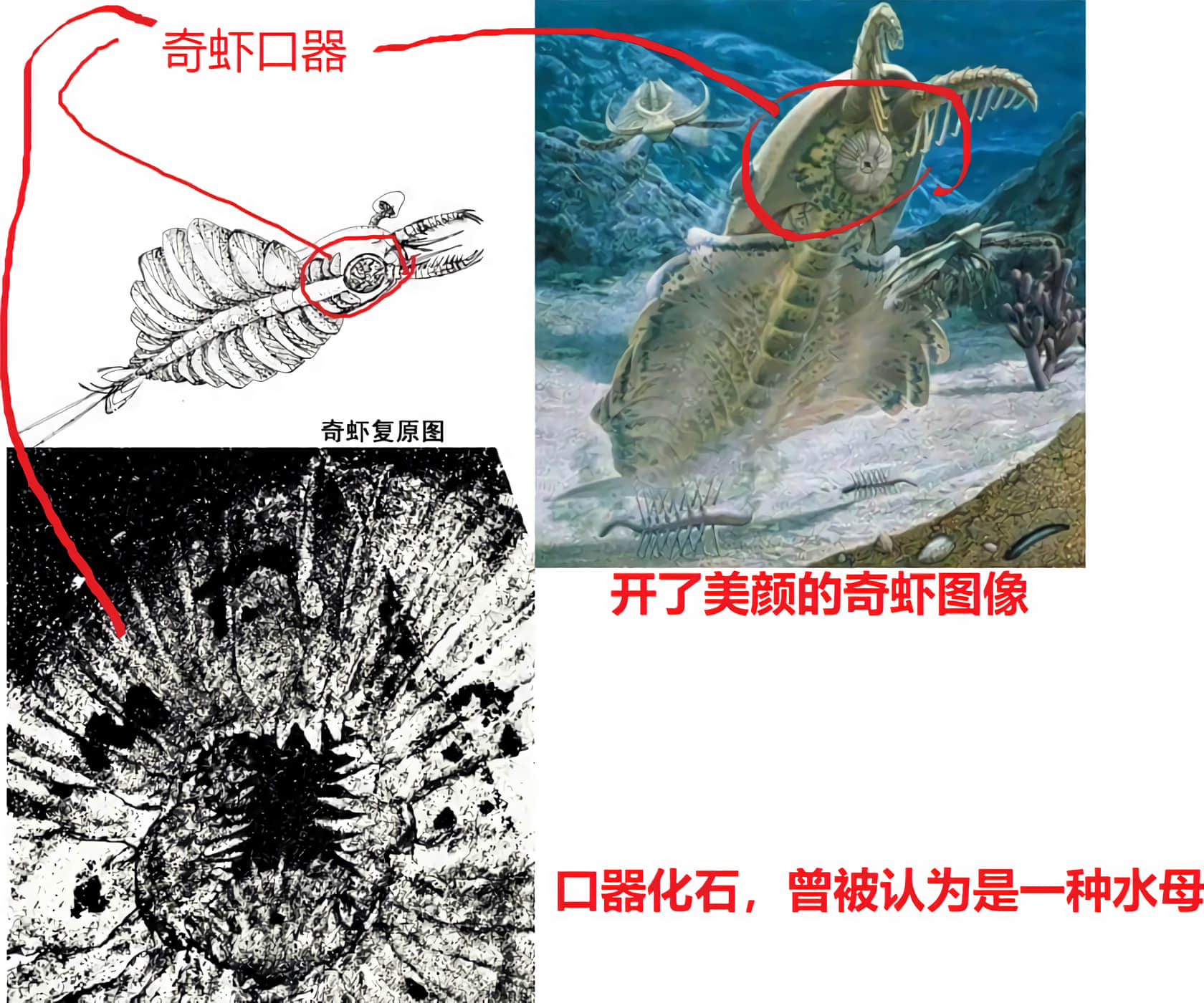 第 1 卷 第 151 页