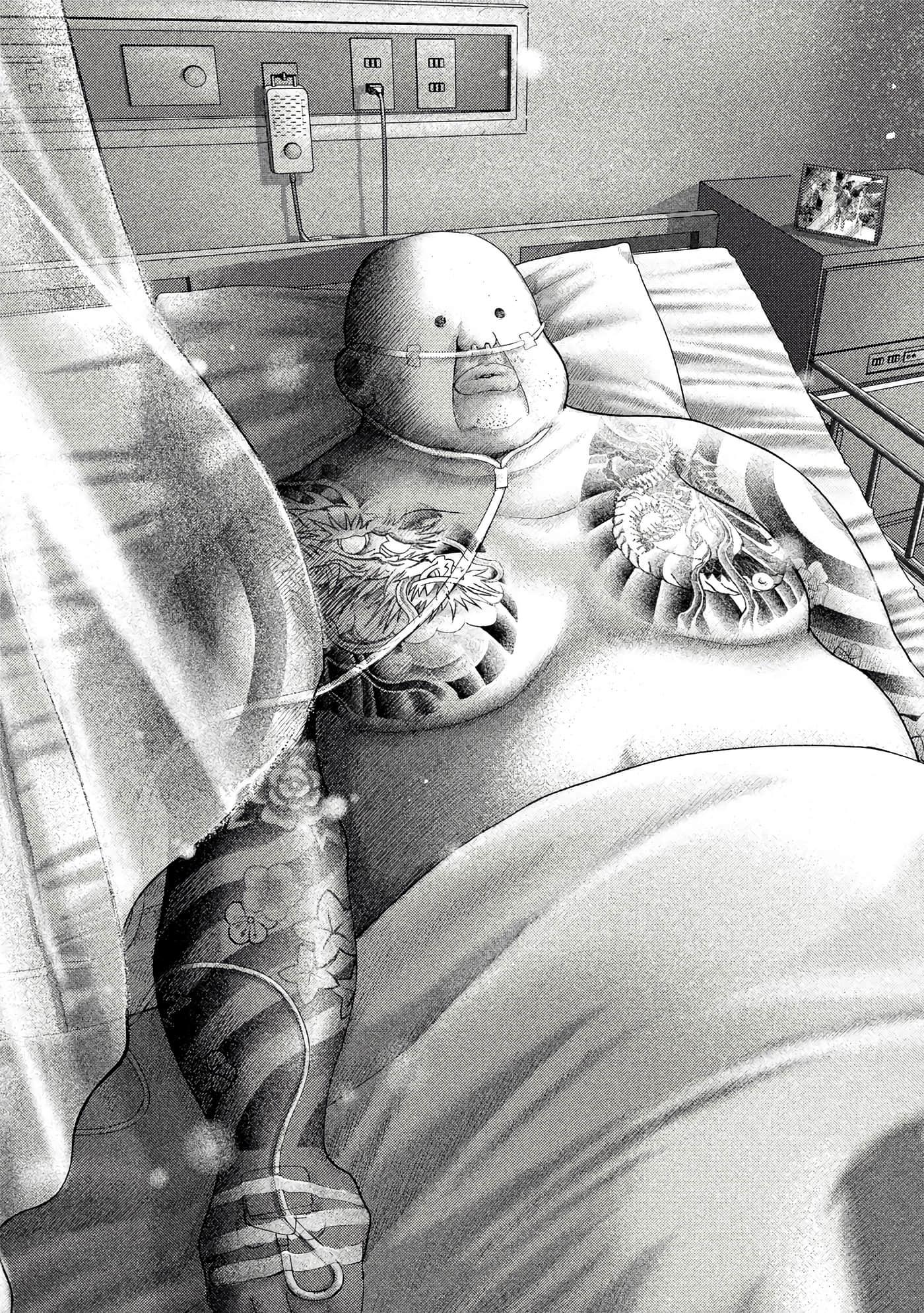 第 4 卷 第 206 页