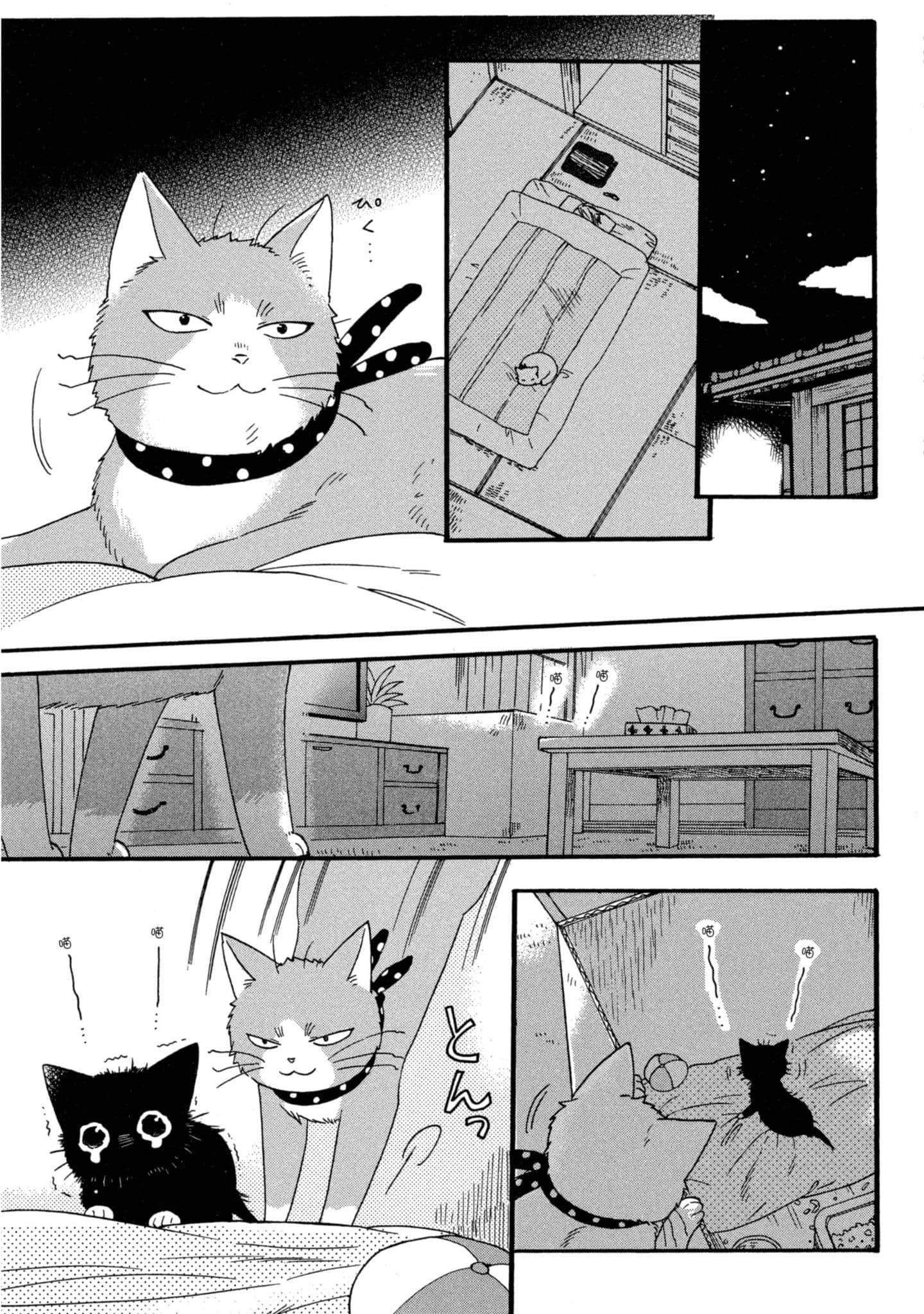 第 3 卷 第 44 页