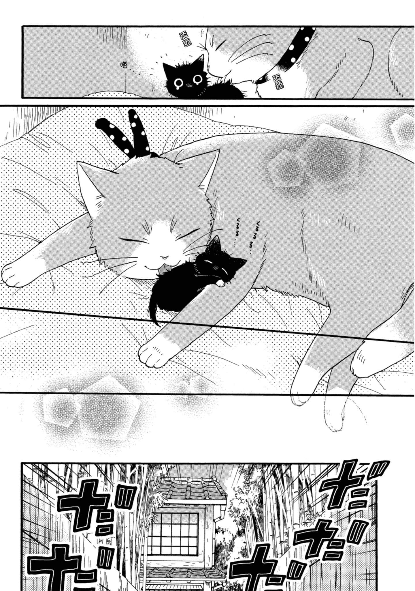第 3 卷 第 45 页