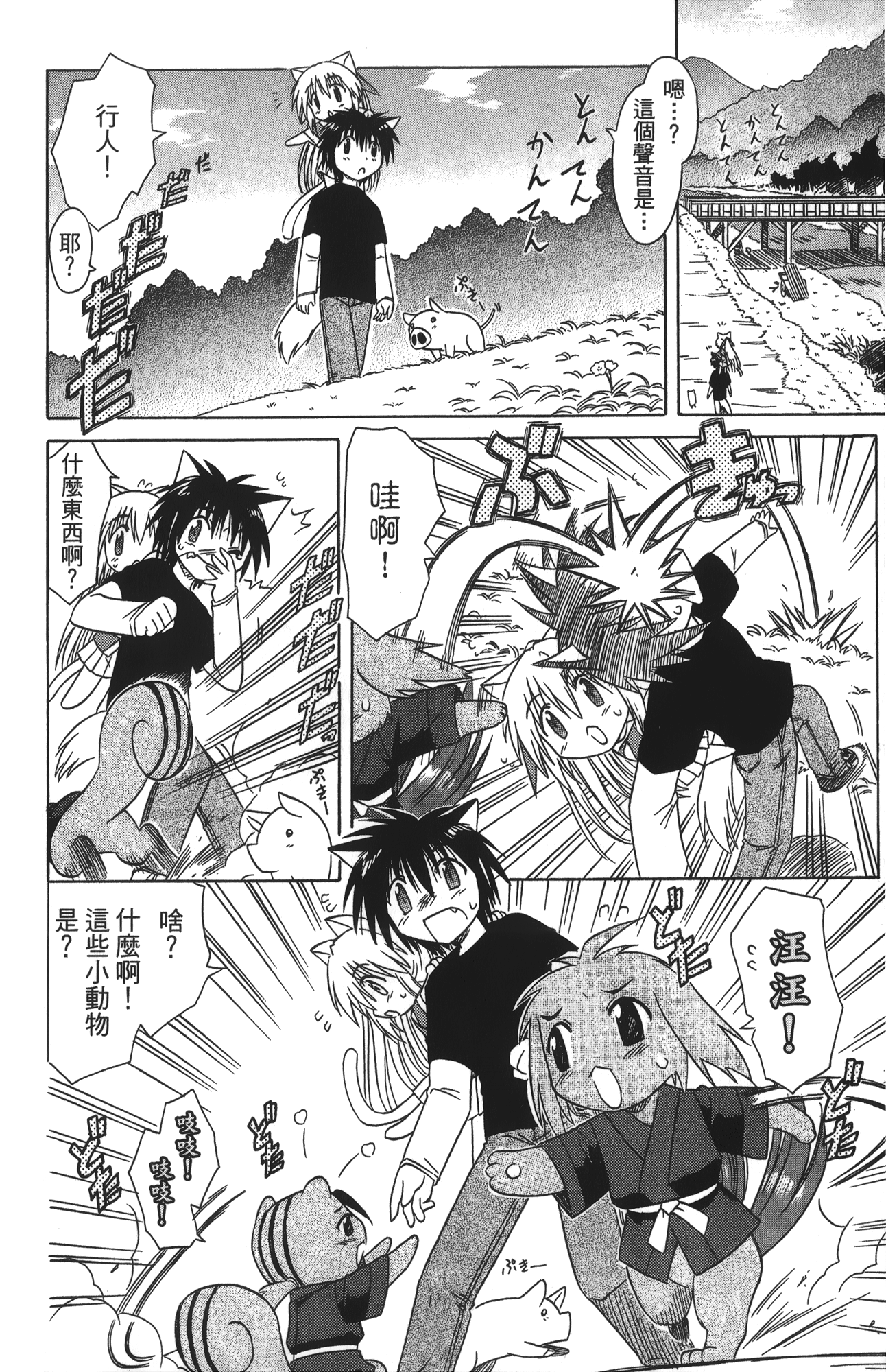 第 4 卷 第 110 页