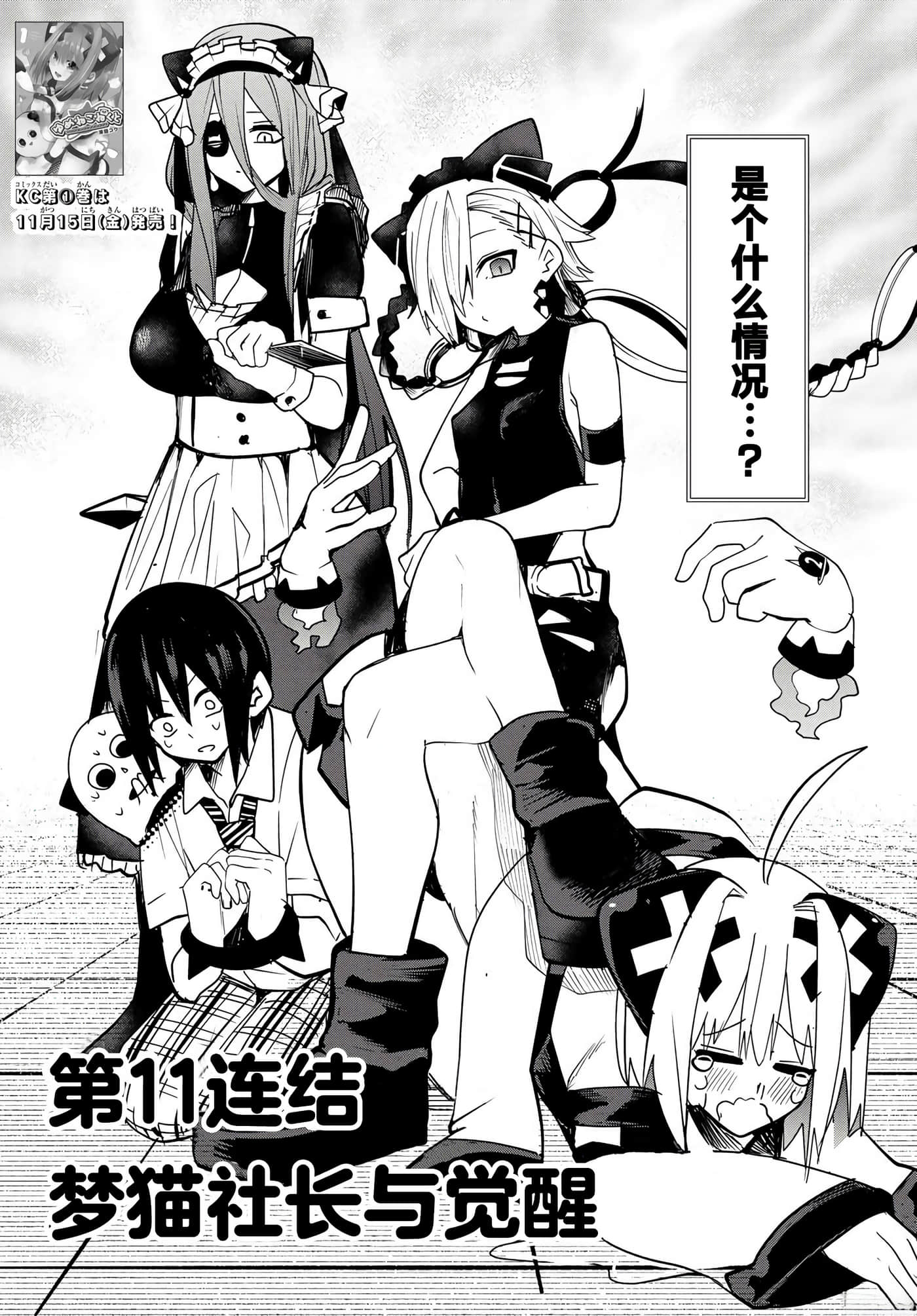 第 11 卷 第 2 页