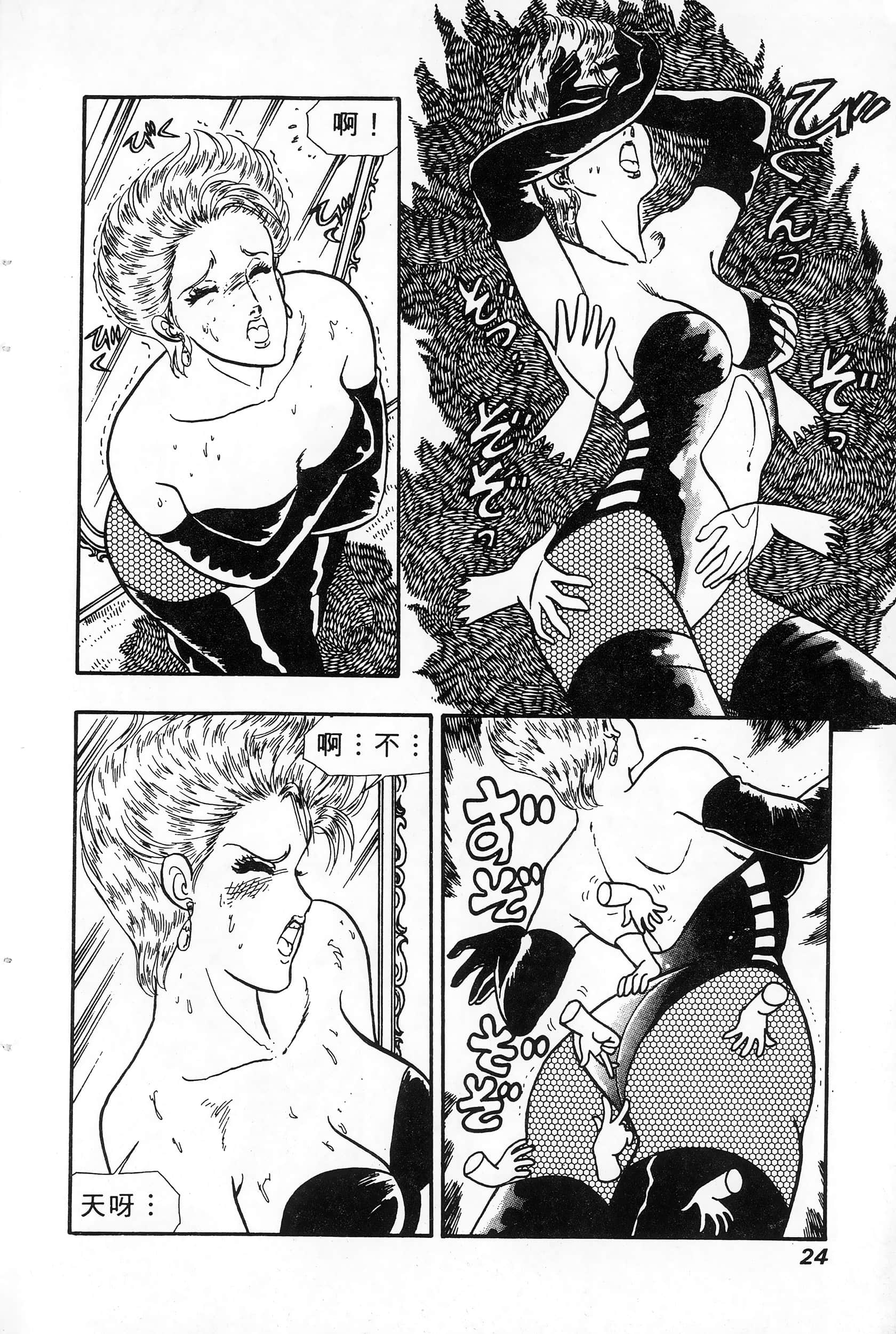 第 4 卷 第 24 页