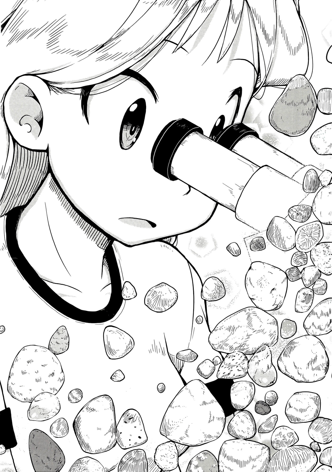 第 31 页