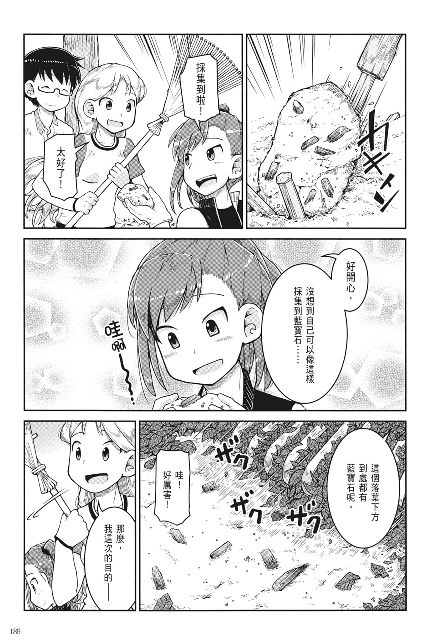 第 191 页